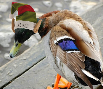 user avatar image for TheActualDuck