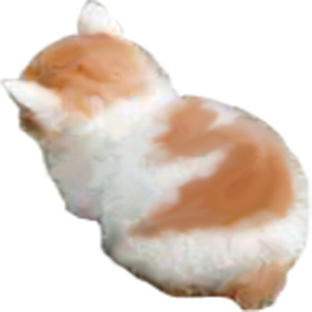 user avatar image for Ares Bergado