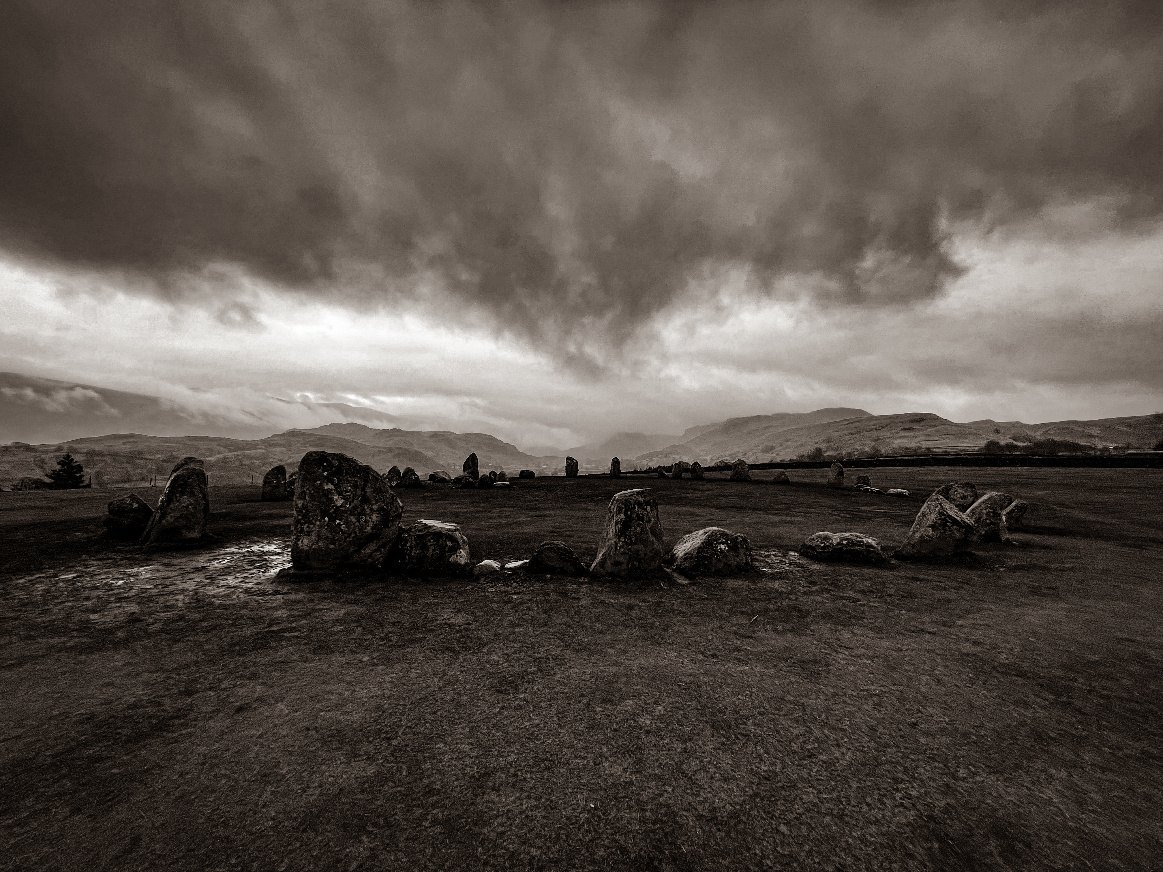 user avatar image for Alex Walsh 