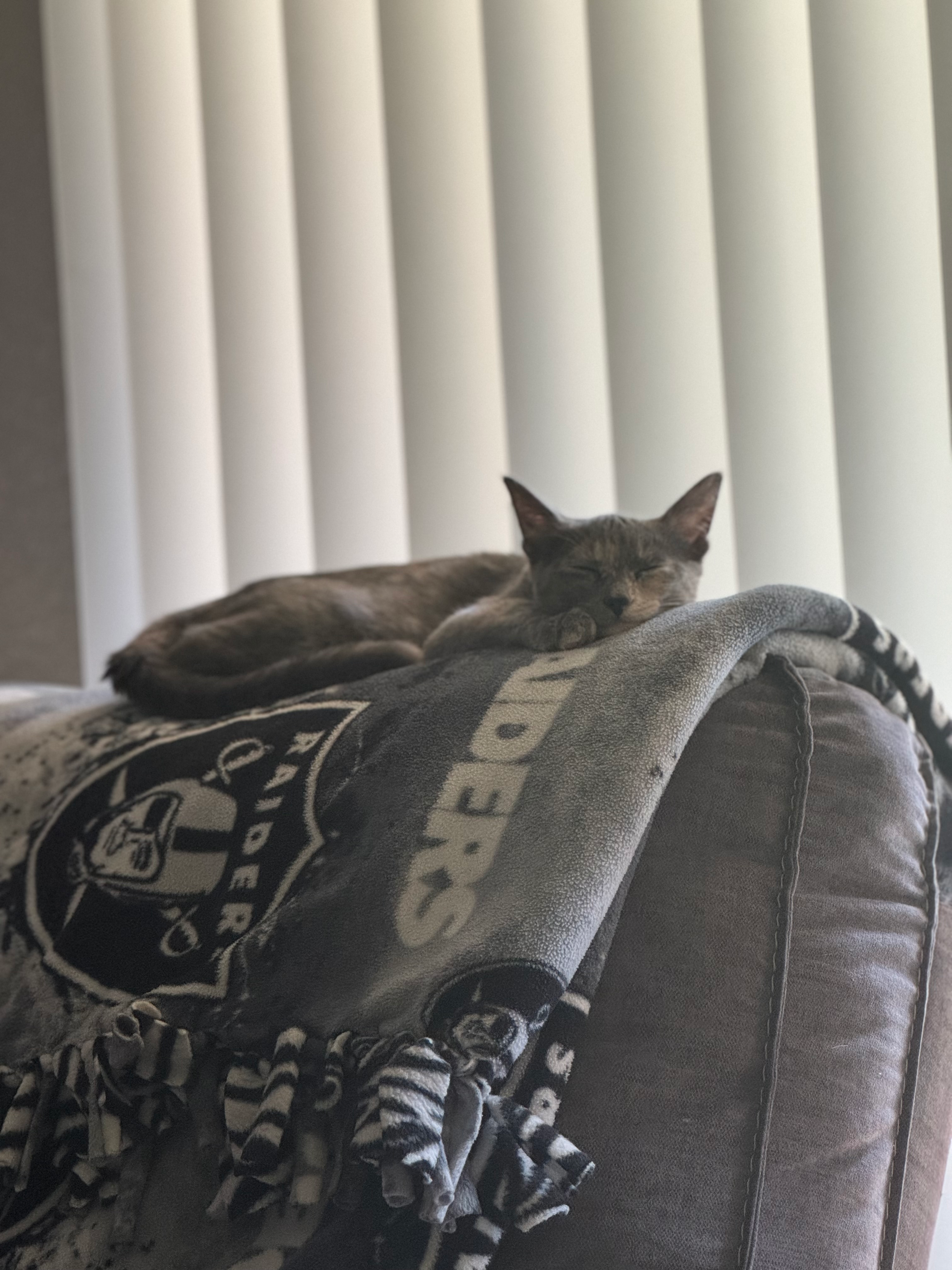 user avatar image for Ashley