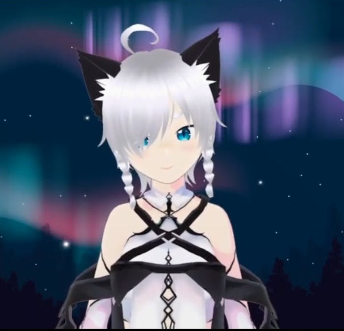 user avatar image for Niki Tshudy