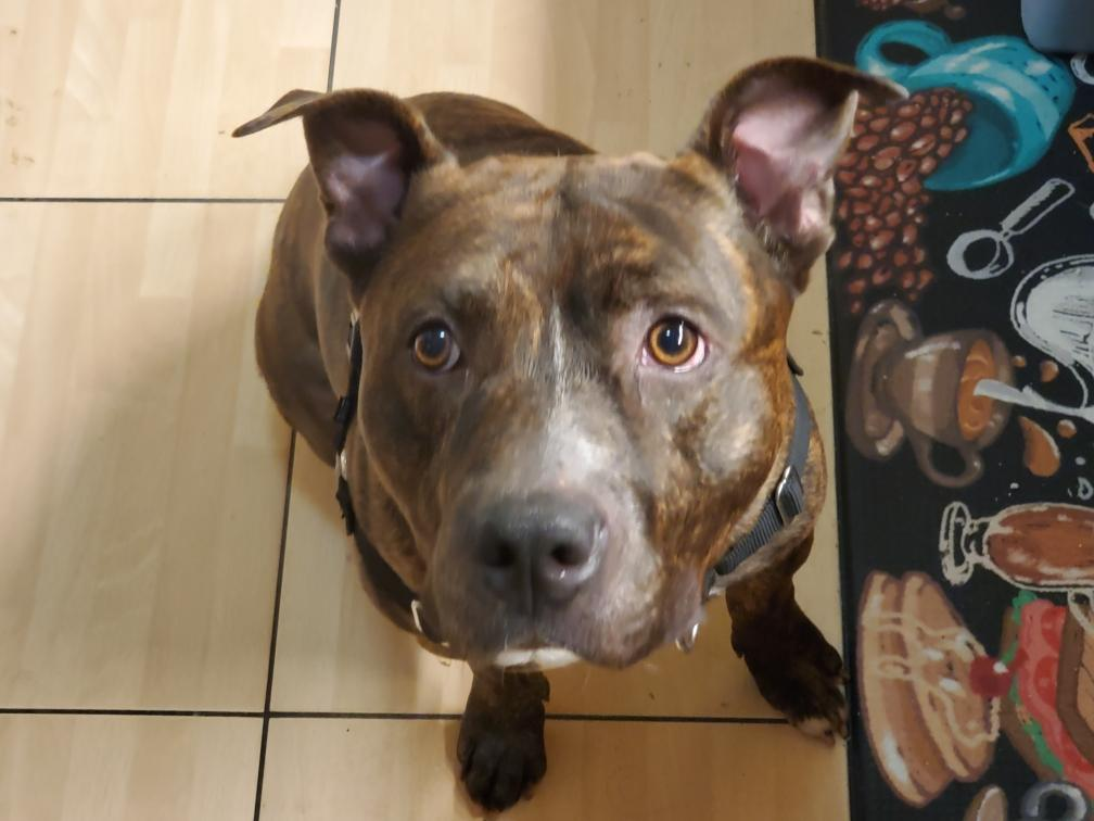 user avatar image for Spoops