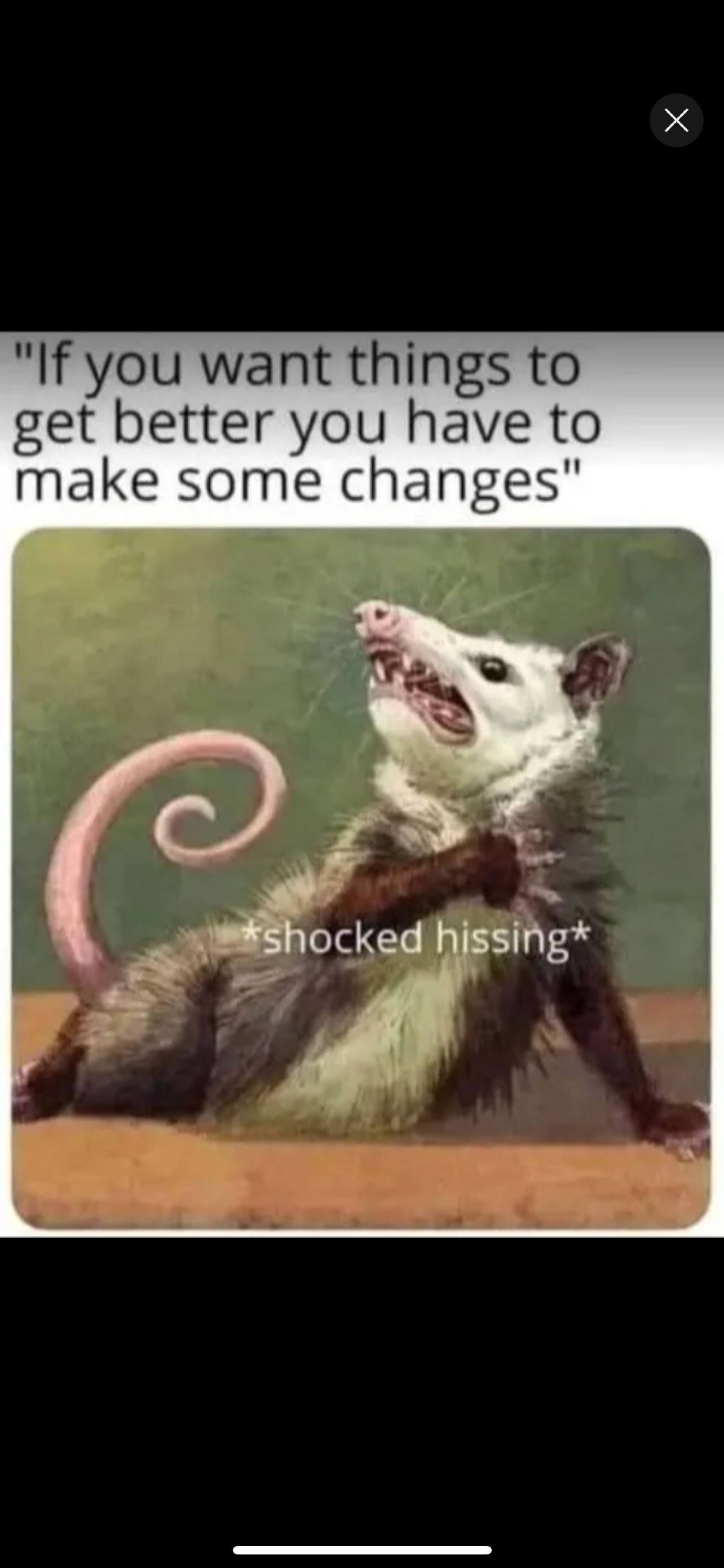 user avatar image for Lutz Bradley