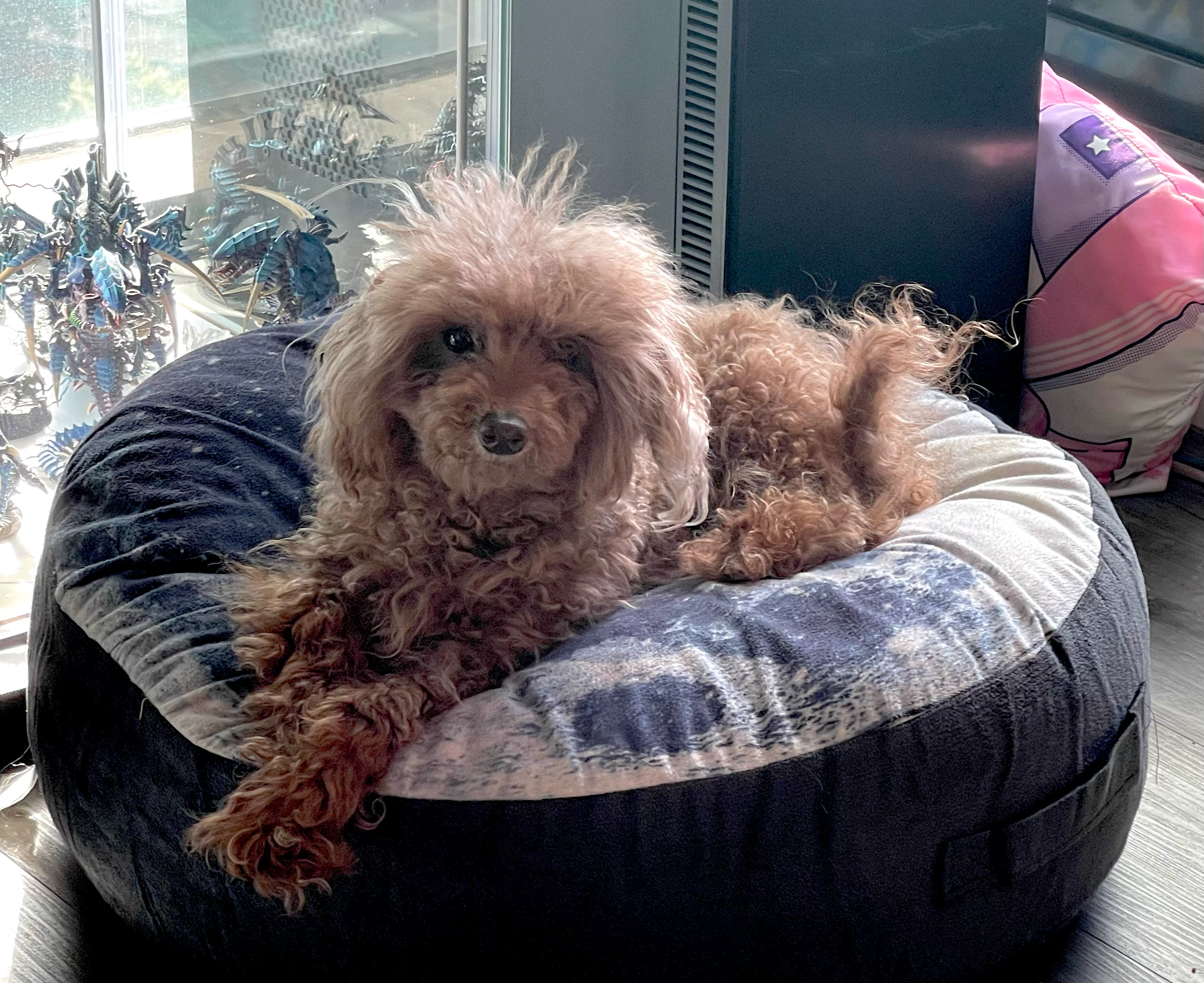 user avatar image for Tash