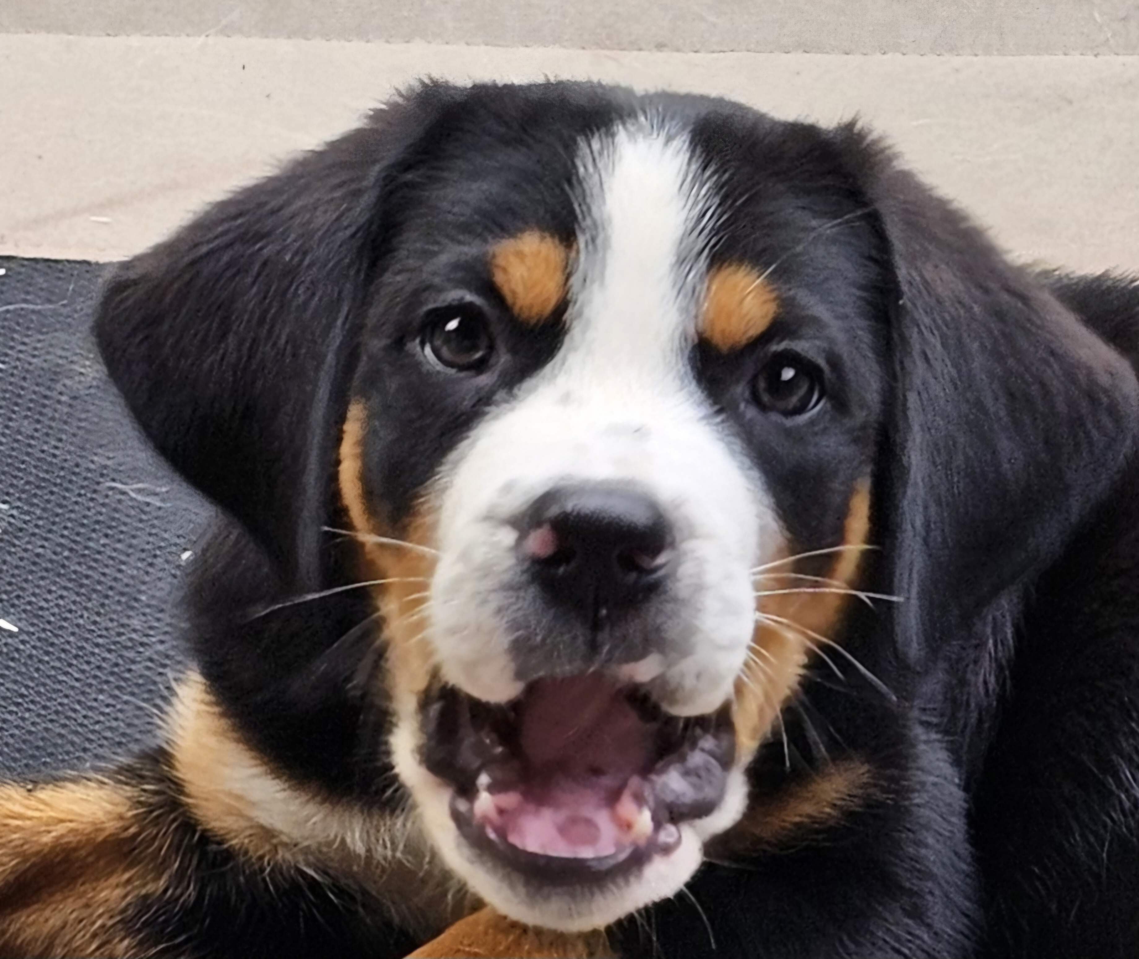 user avatar image for Josephk