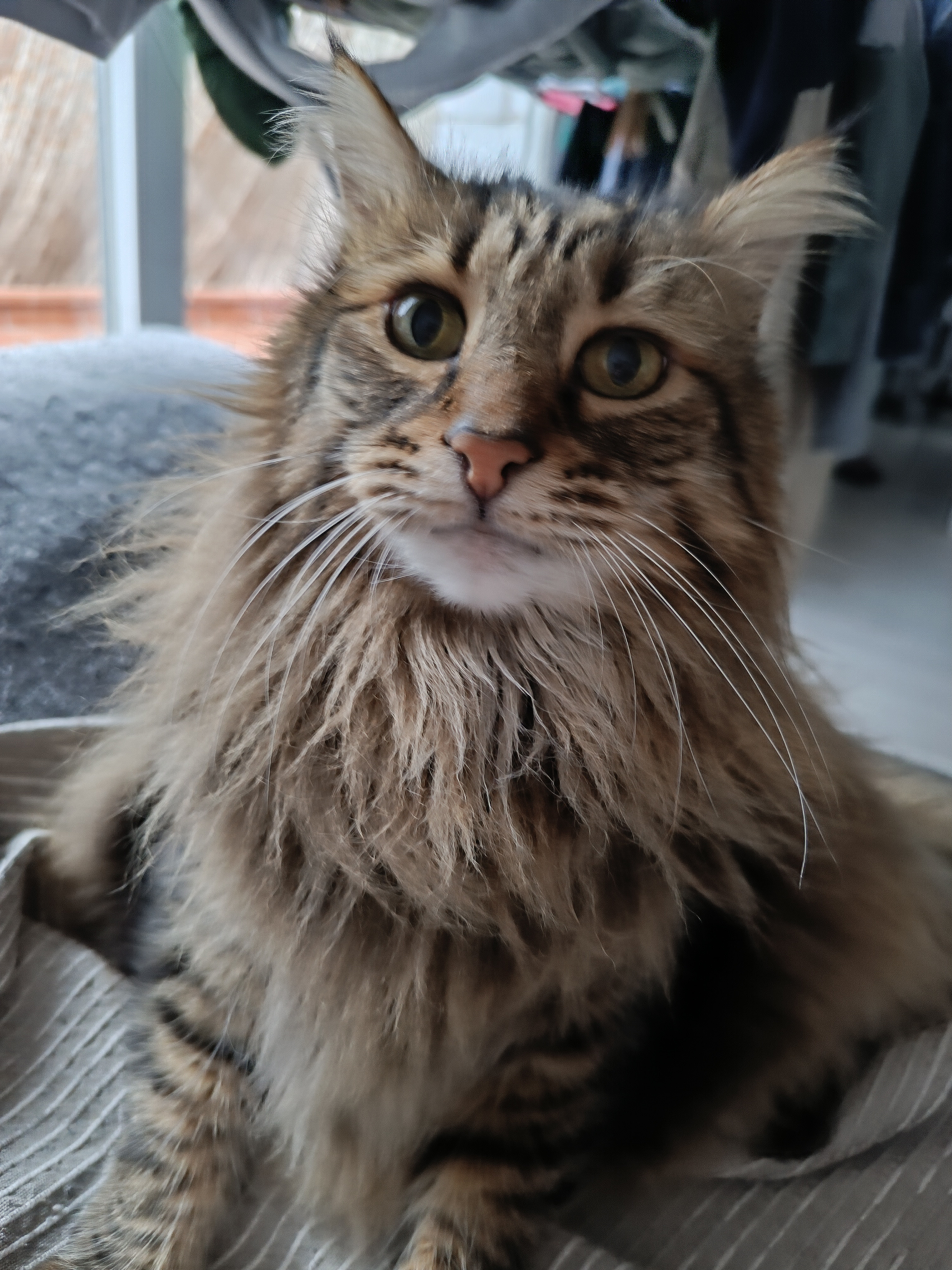 user avatar image for Ruben