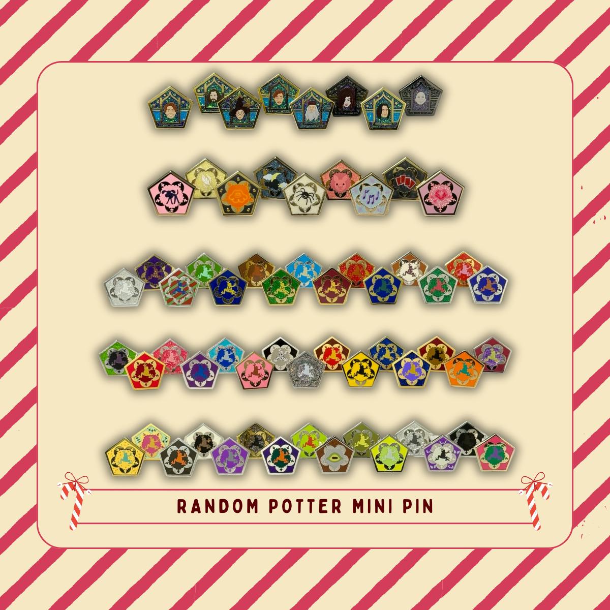 10 Random Potter Mini Pins