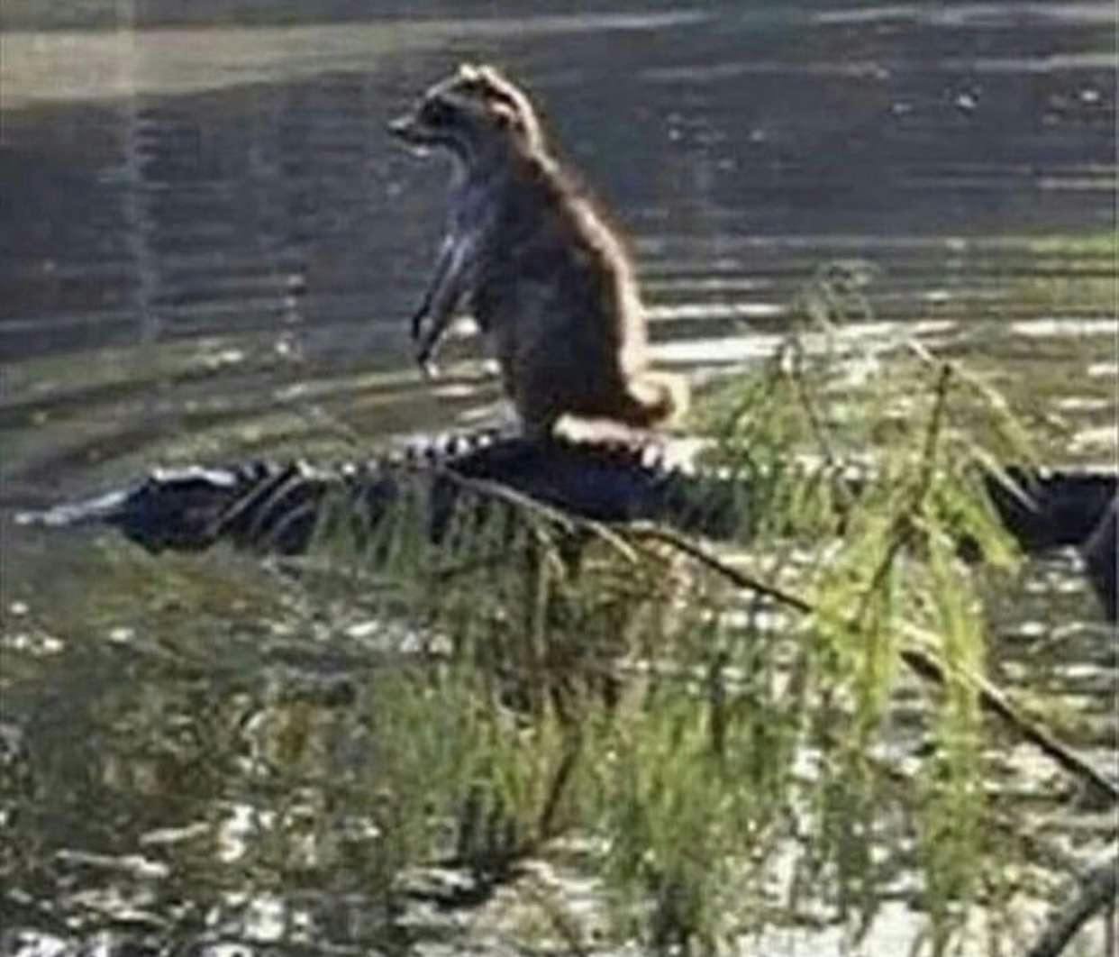 user avatar image for Ramon