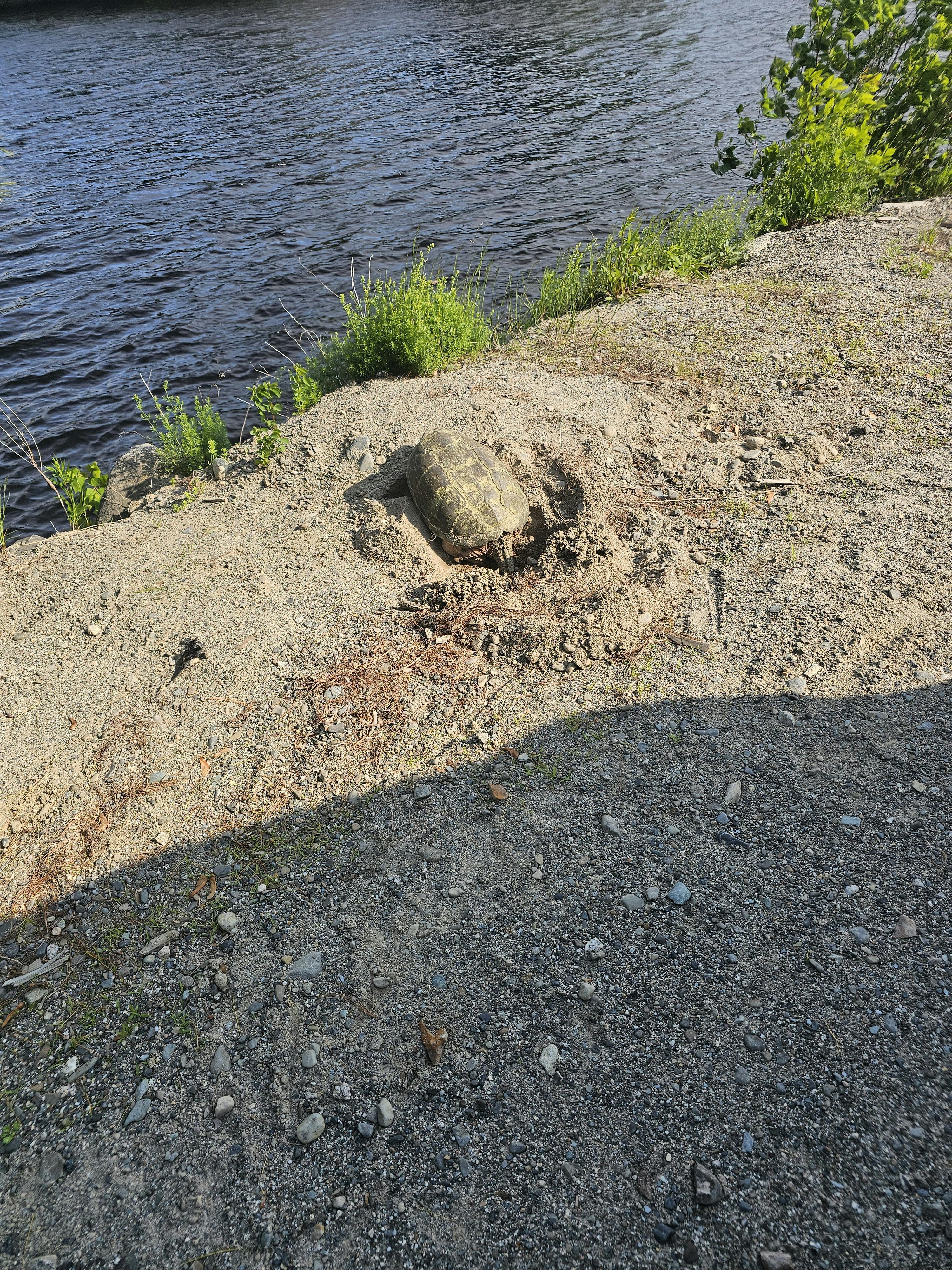 user avatar image for Joshia