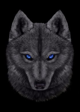 user avatar image for Avmorket