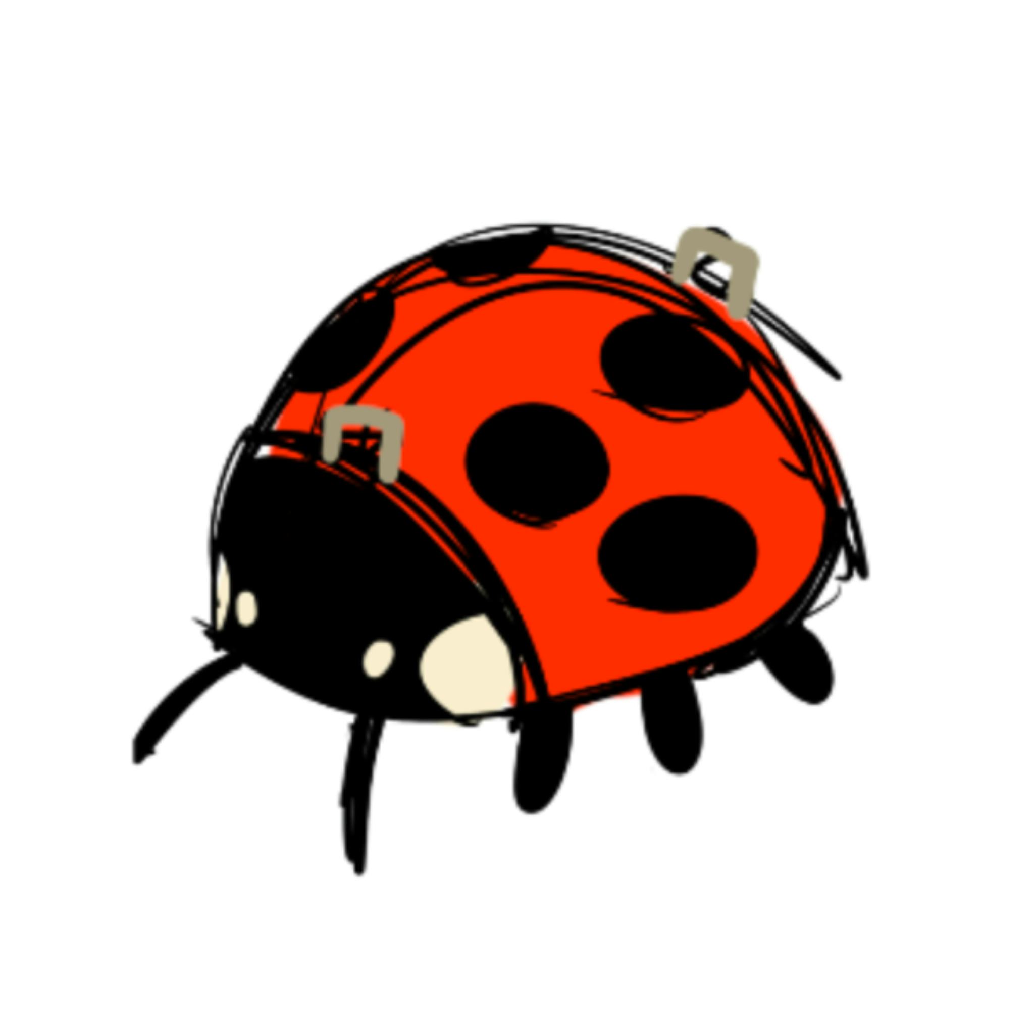Ladybug bag