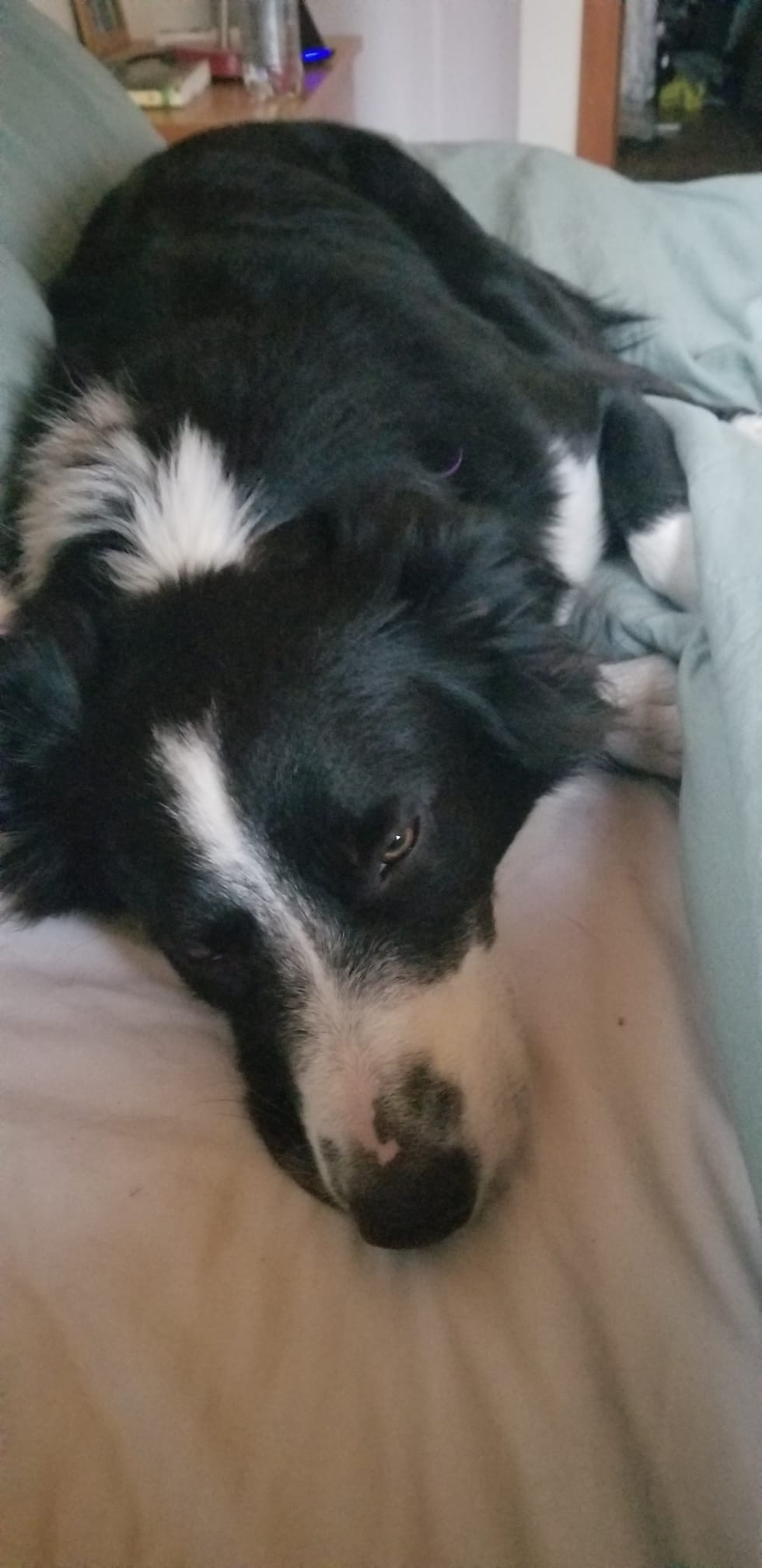 user avatar image for Whiterose