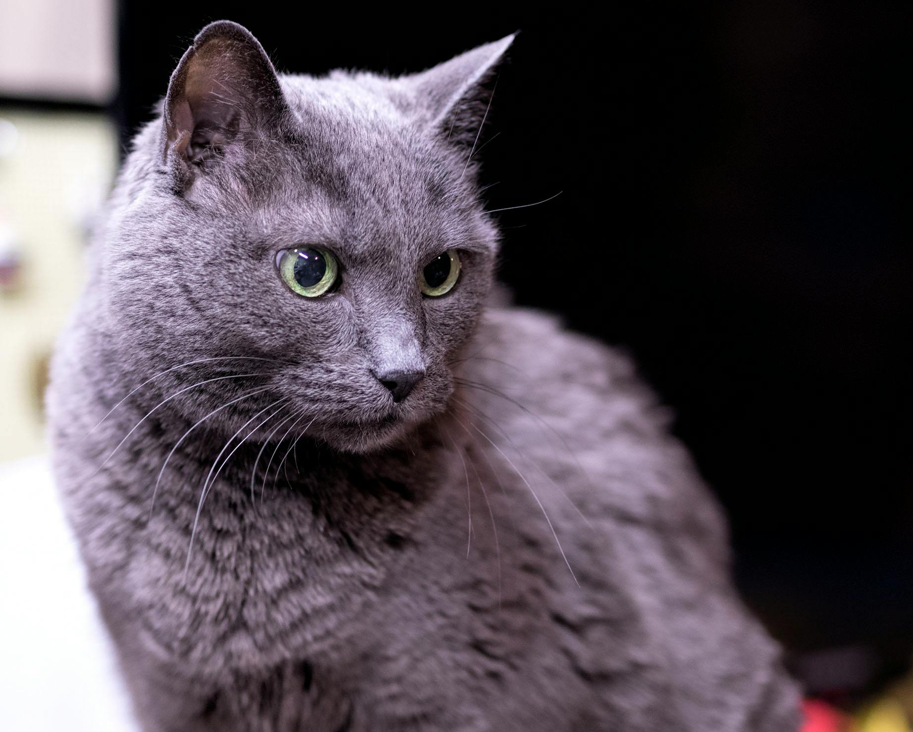 user avatar image for guinluvsc