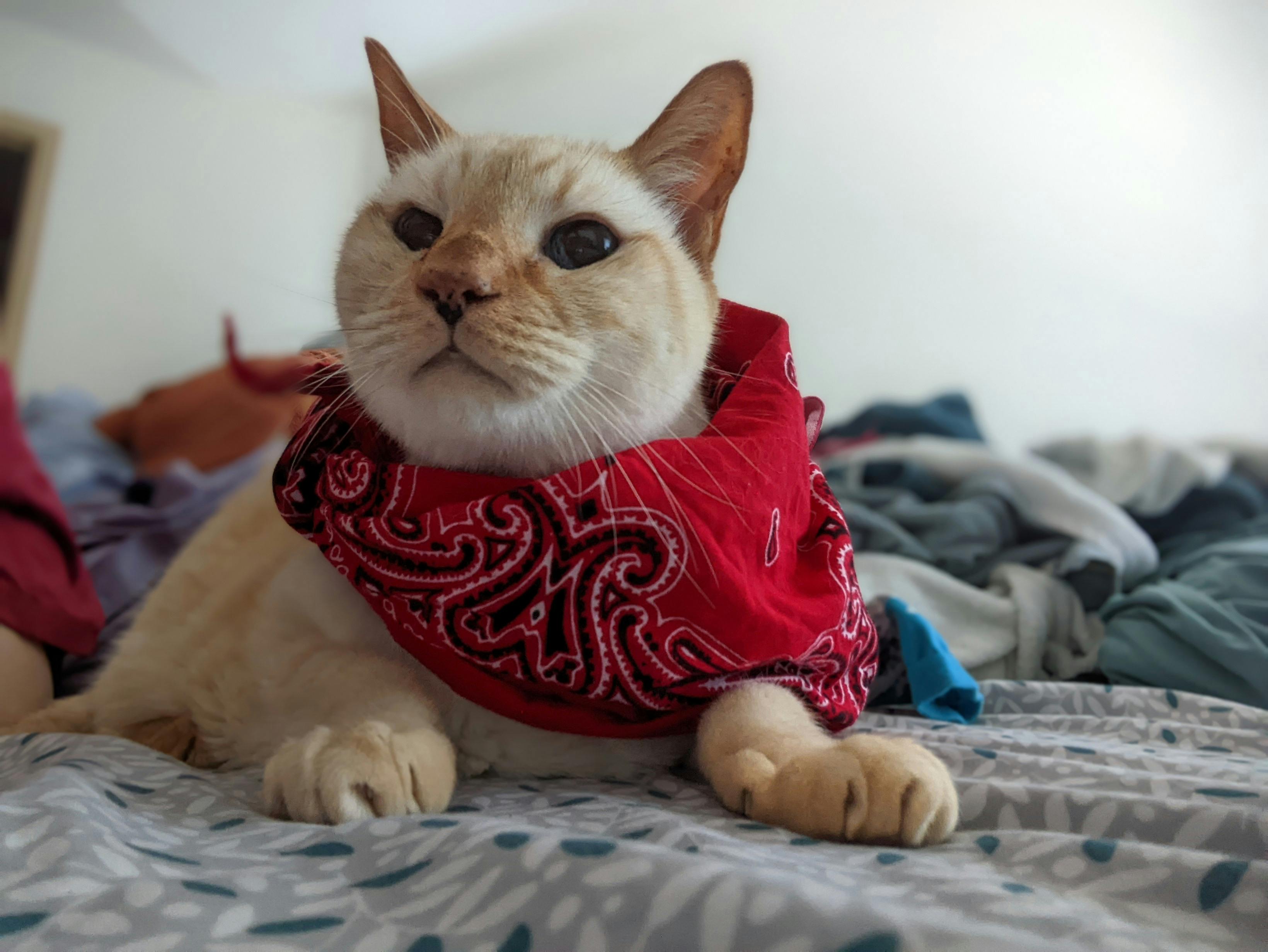 user avatar image for Bethany Roulston