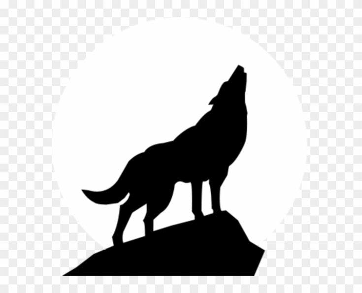user avatar image for Wolfgang