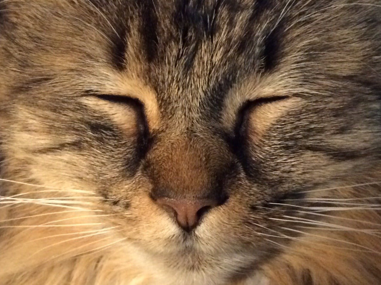 user avatar image for LJ Hughes