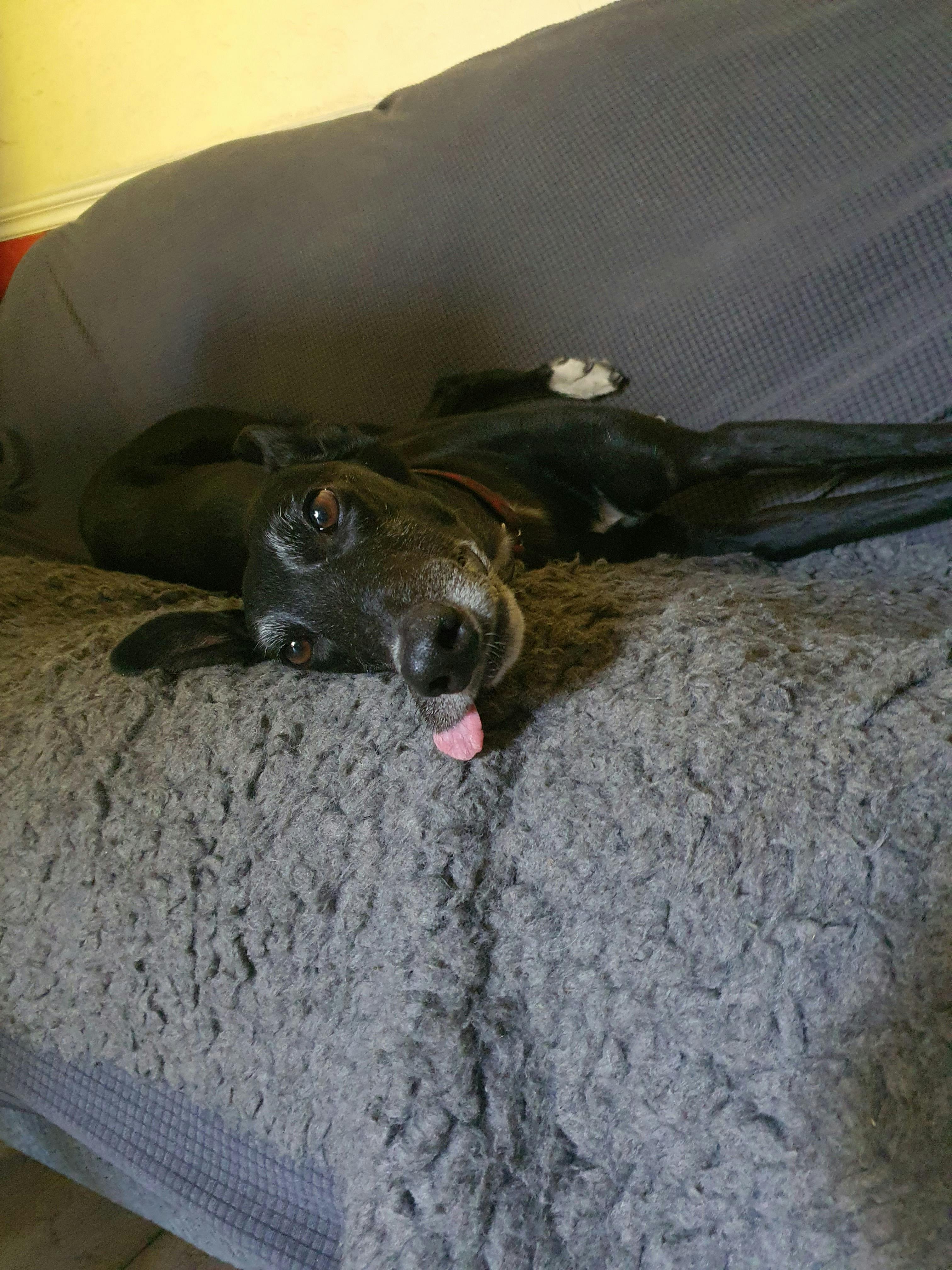 user avatar image for Stephen D