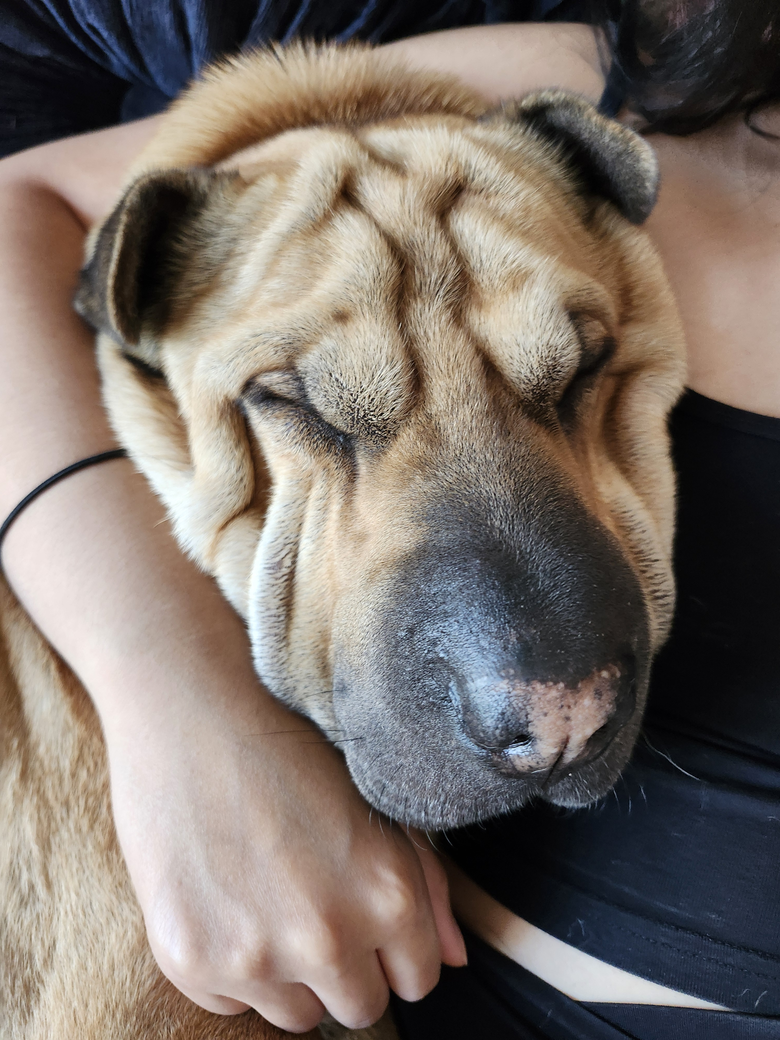 user avatar image for Casey Marsden