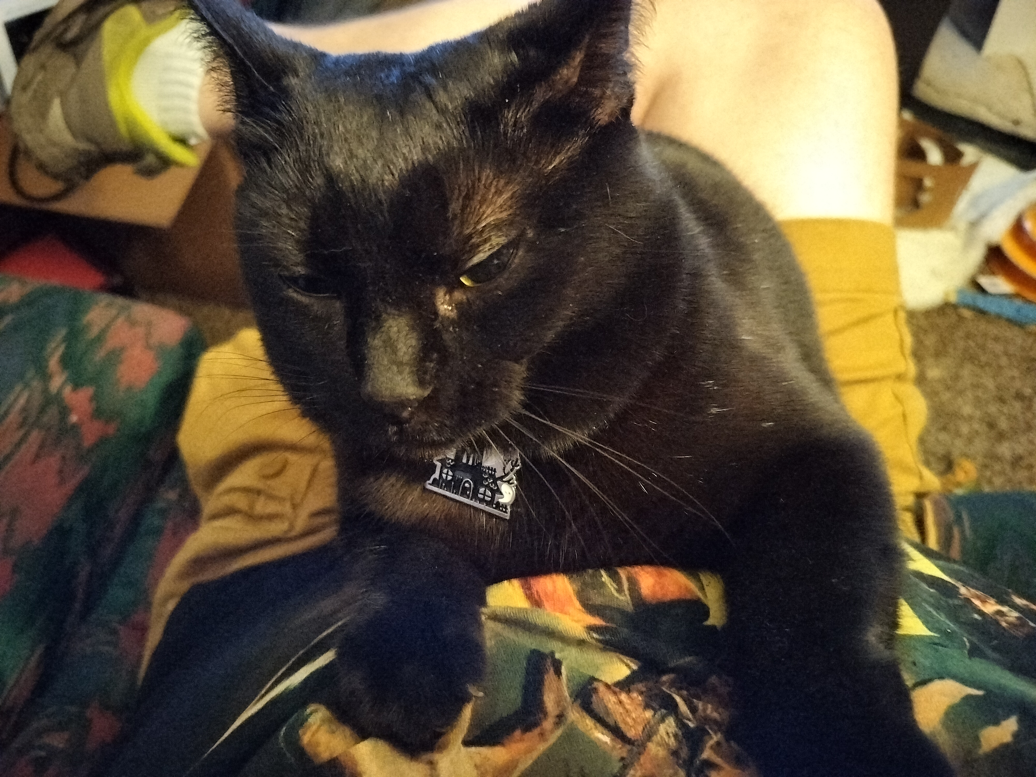 user avatar image for Matt Cohen