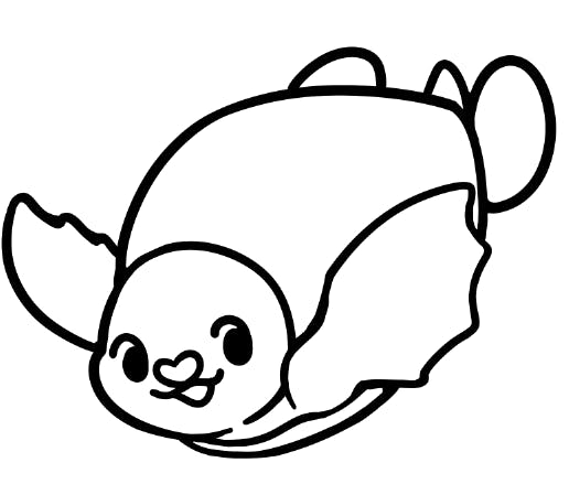 Pig Nose Turtle