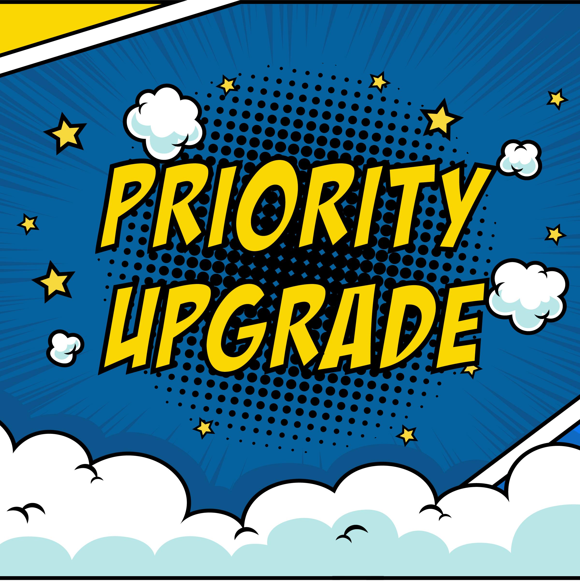 ✦ U.S. Priority Shipping Upgrade 