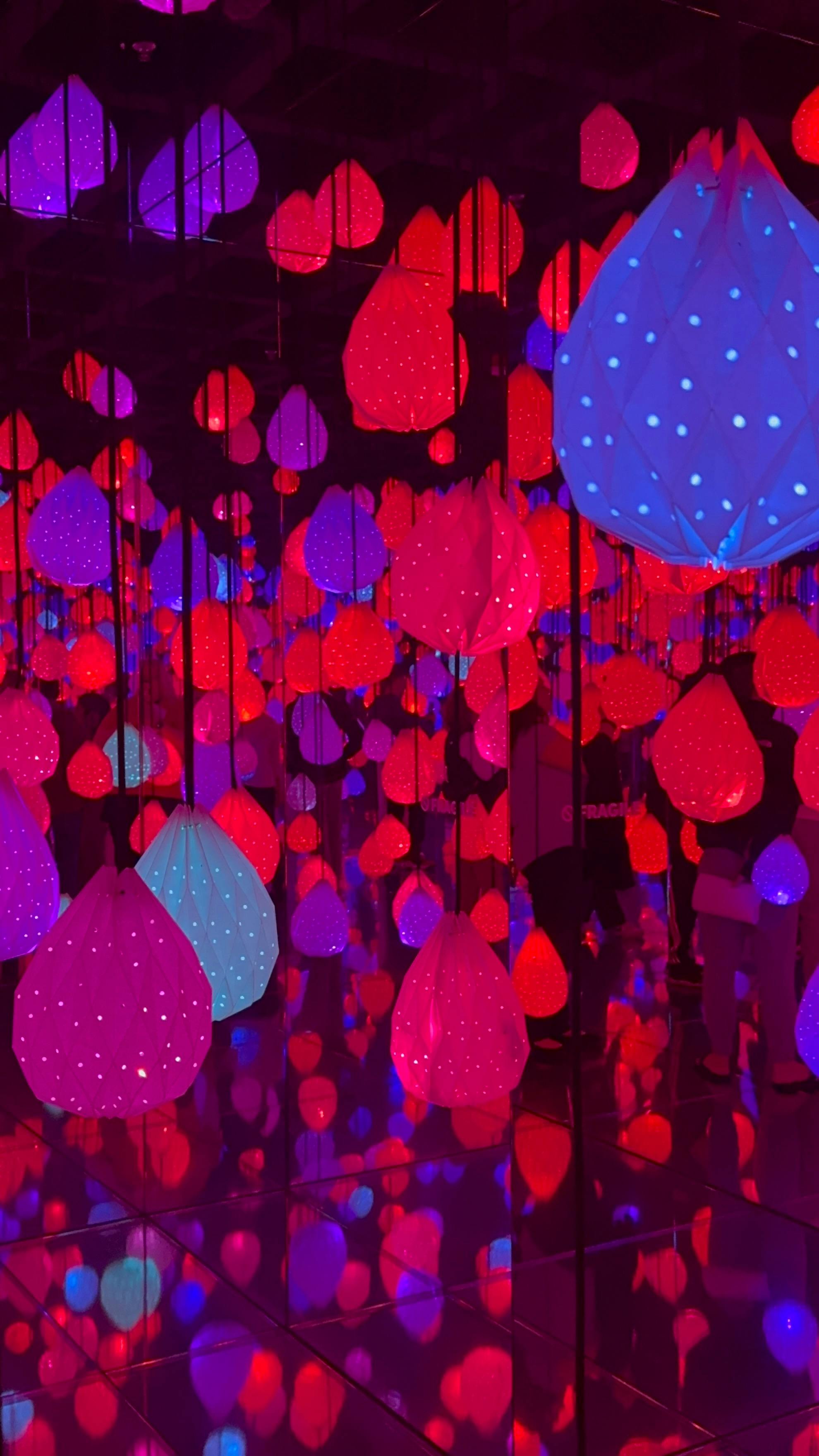 user avatar image for Anonymous Finch #1556187