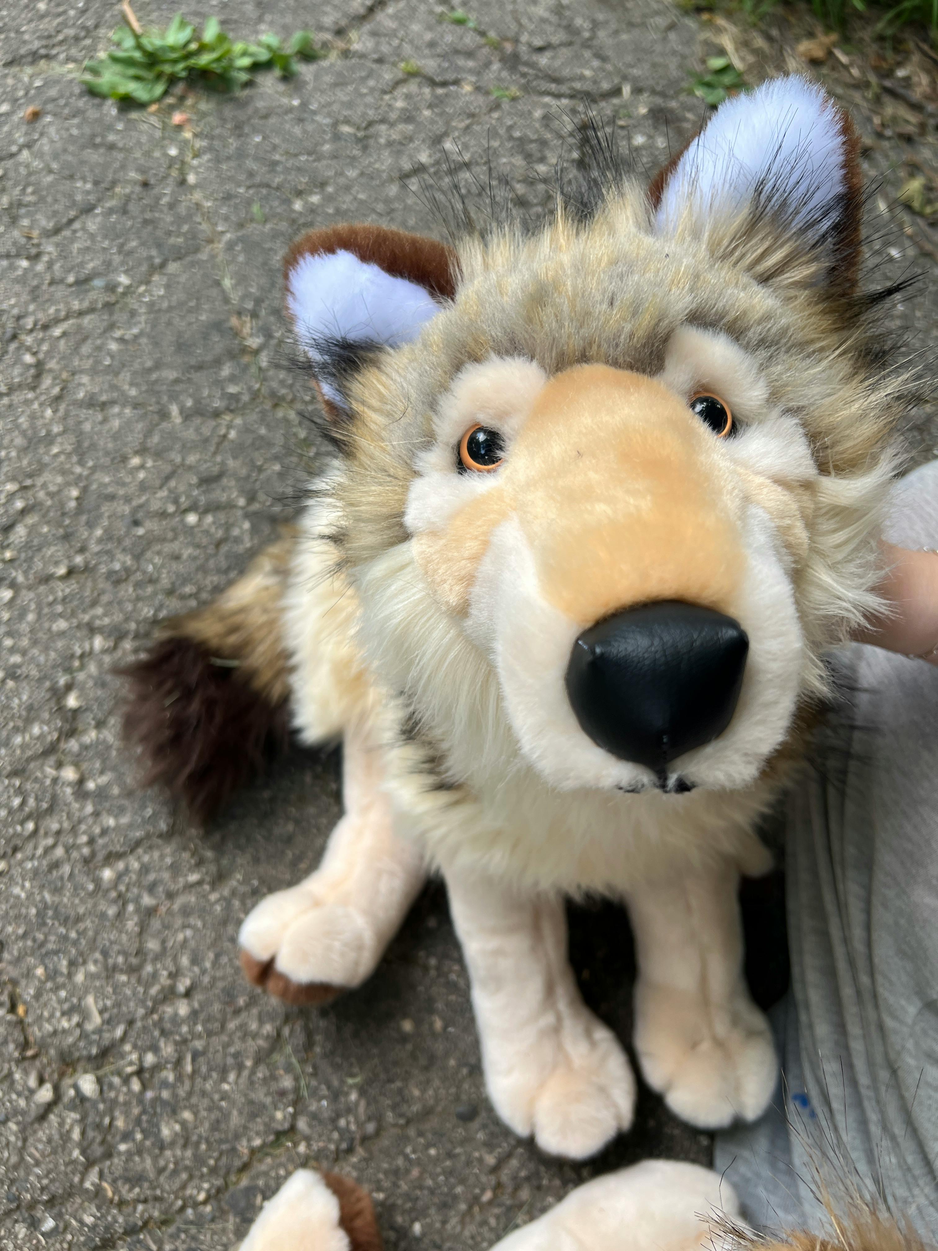 user avatar image for StellarWolves
