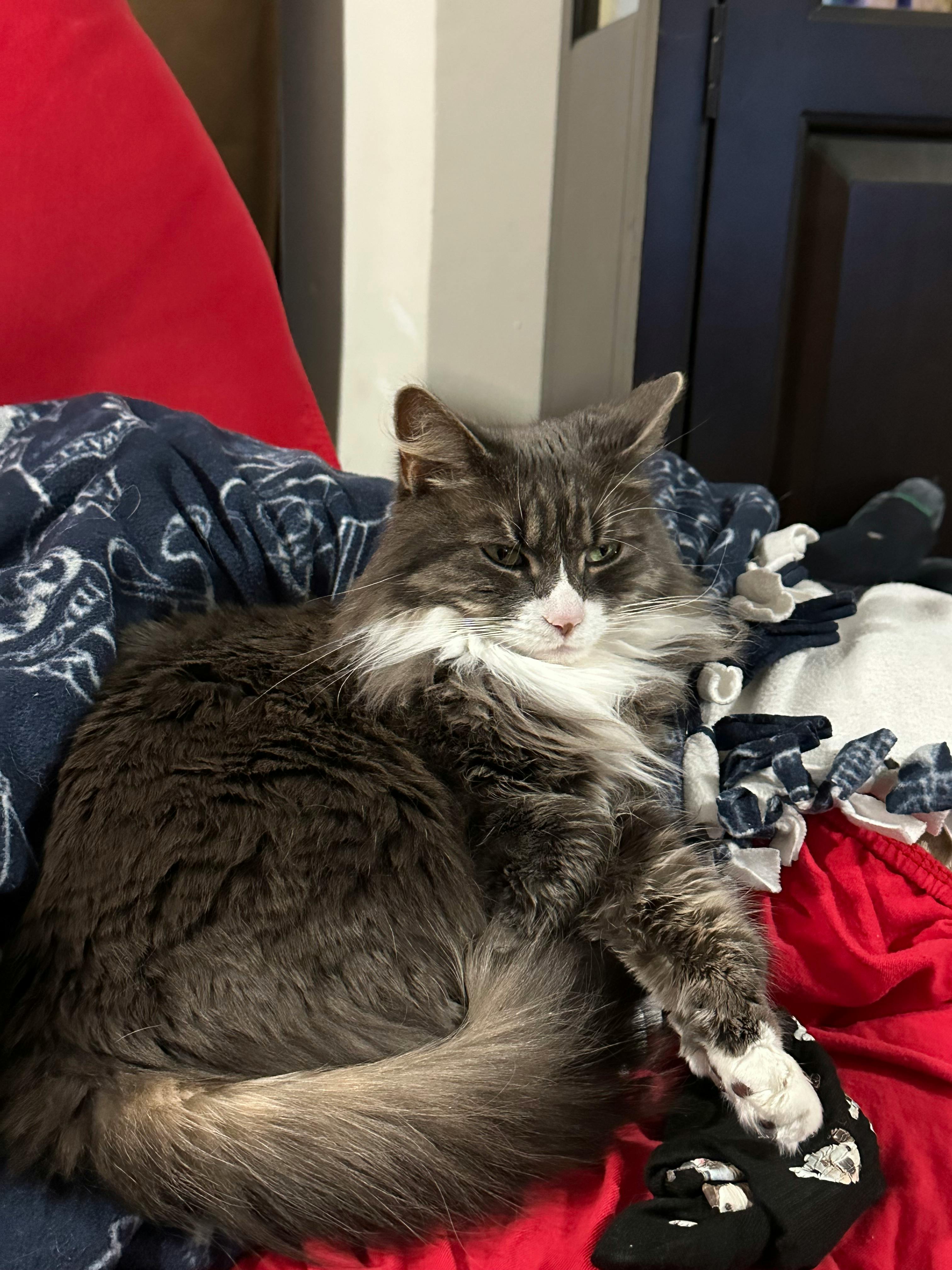 user avatar image for Roy Rowan