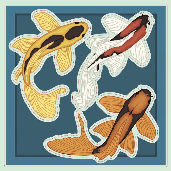 3 Koi Sticker Sheet with Border