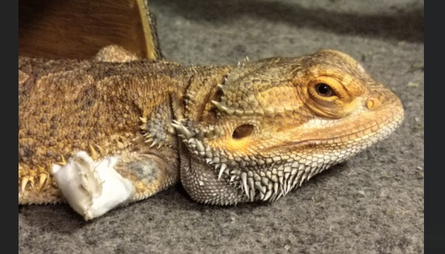 user avatar image for donnie