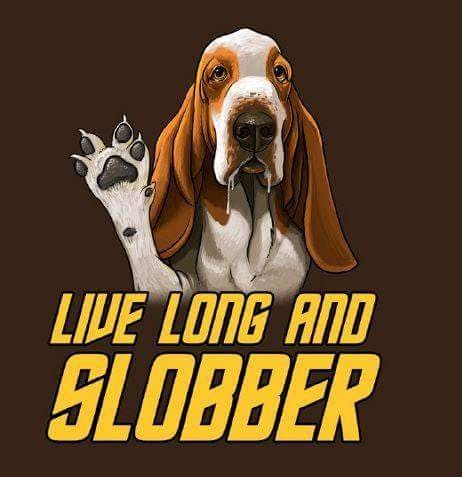 user avatar image for Larry N Mathews