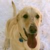 user avatar image for Ash Nazg