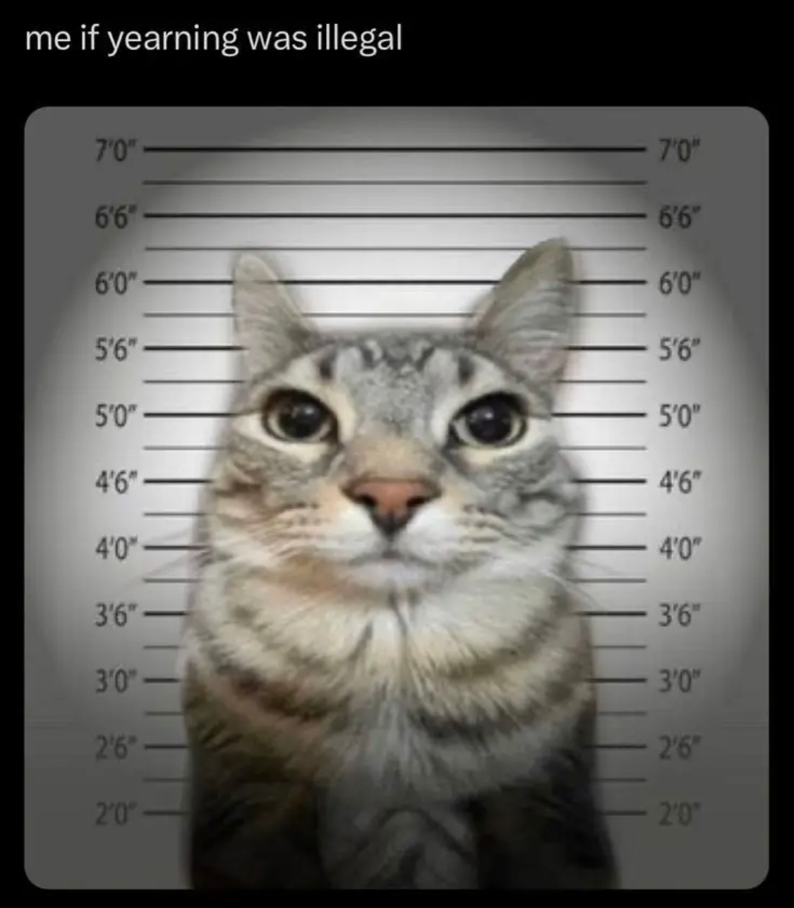 user avatar image for Marley