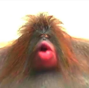 user avatar image for Xar