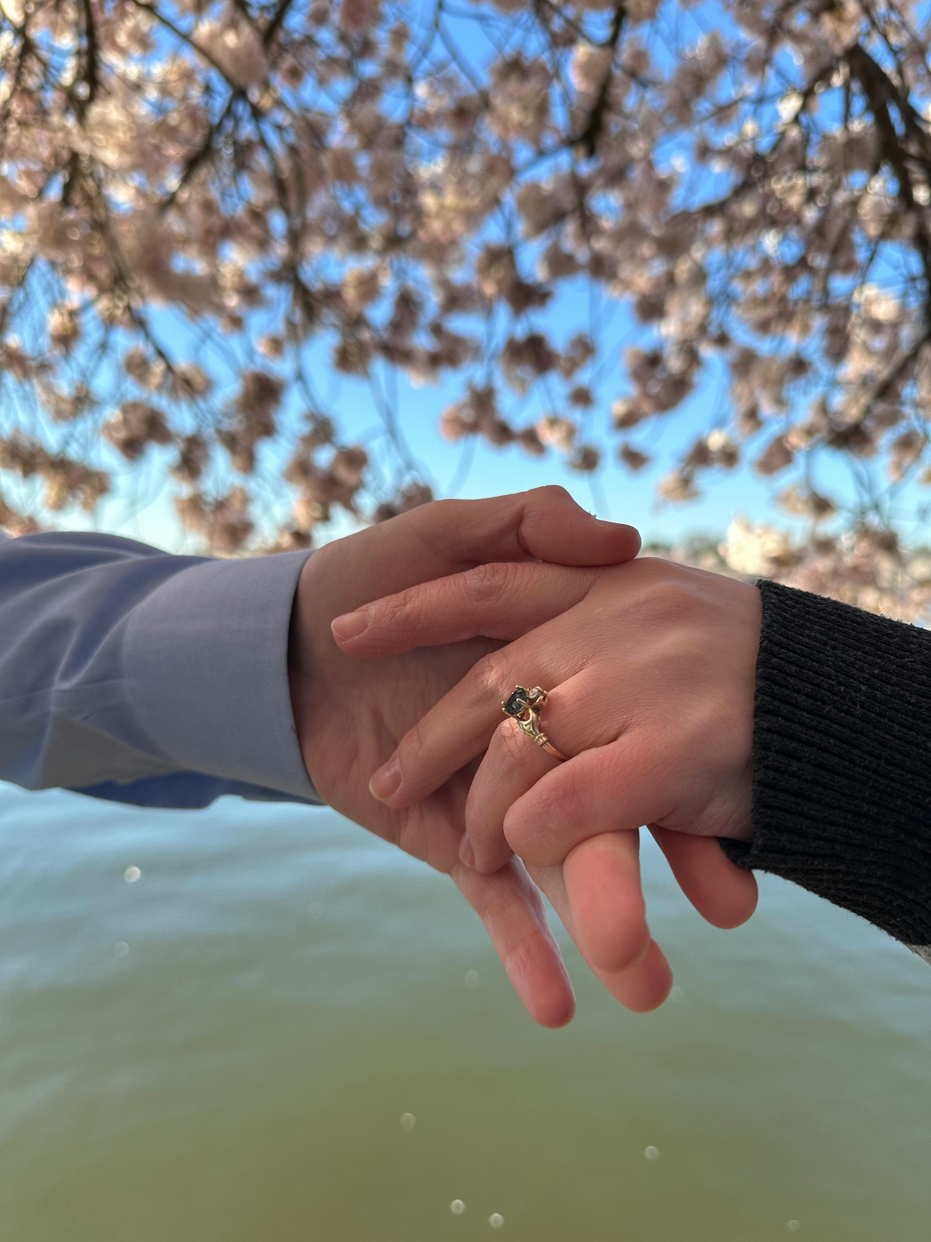 user avatar image for MaxStori