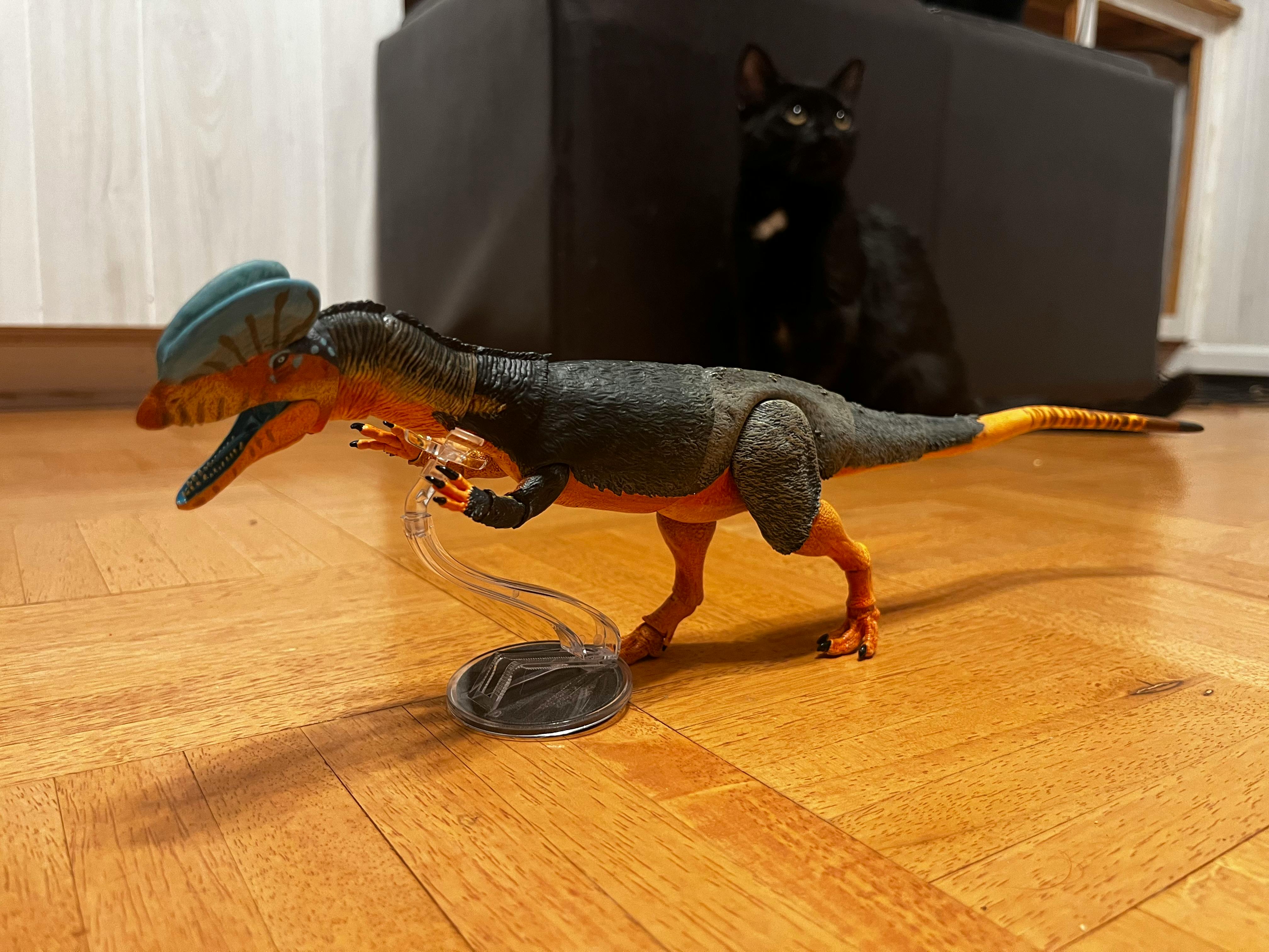 user avatar image for Feral Fox