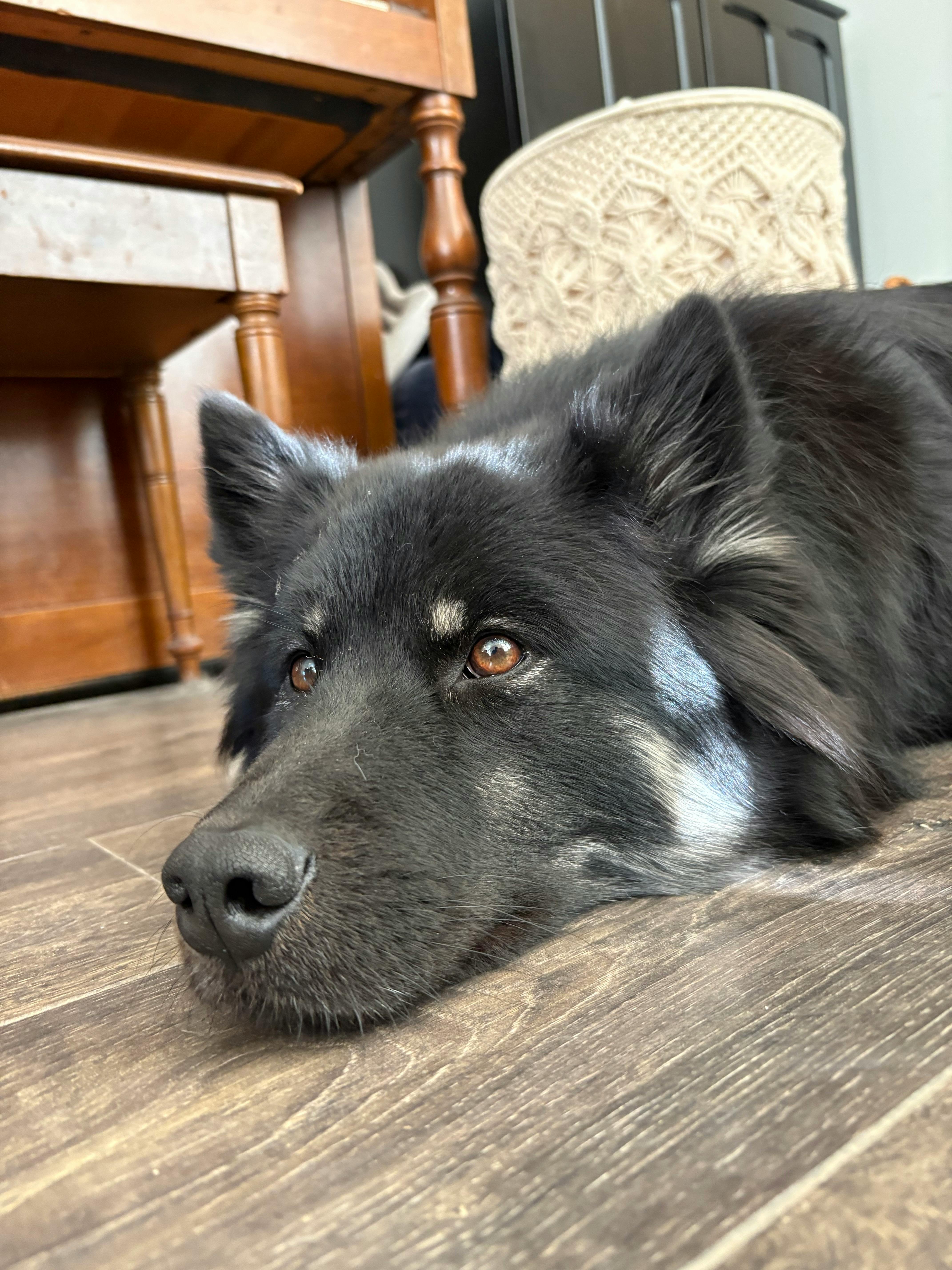 user avatar image for Tyson Eyre