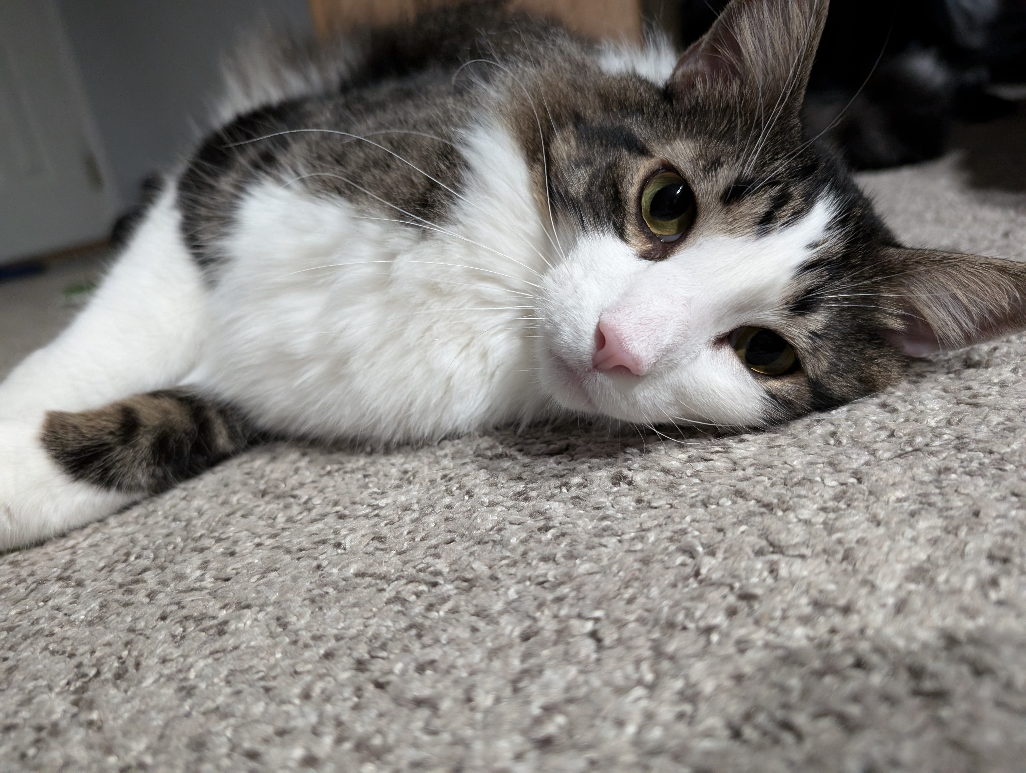 user avatar image for Joseph Overbey