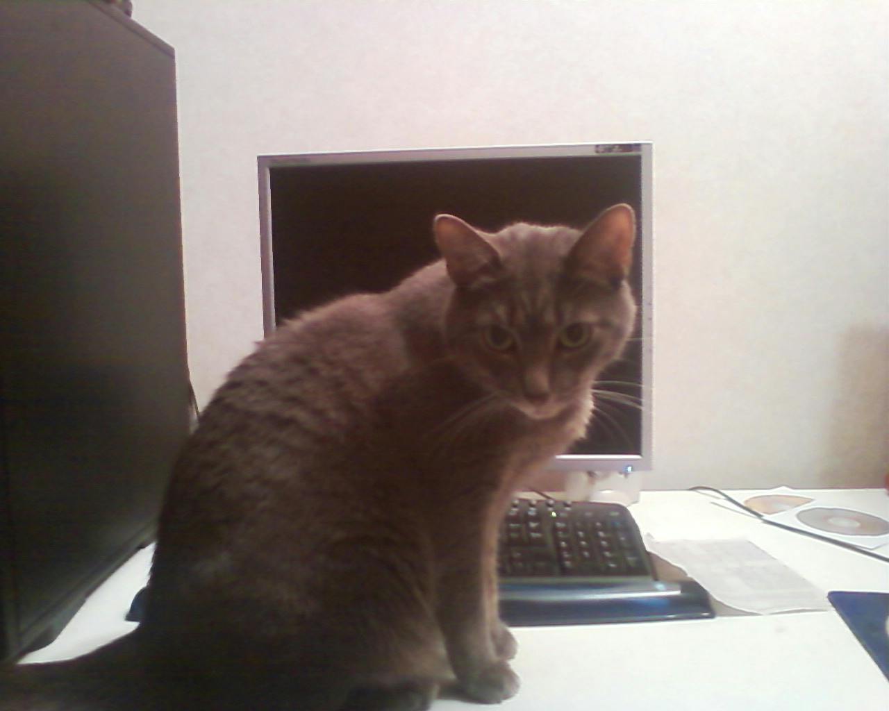 user avatar image for milttollin