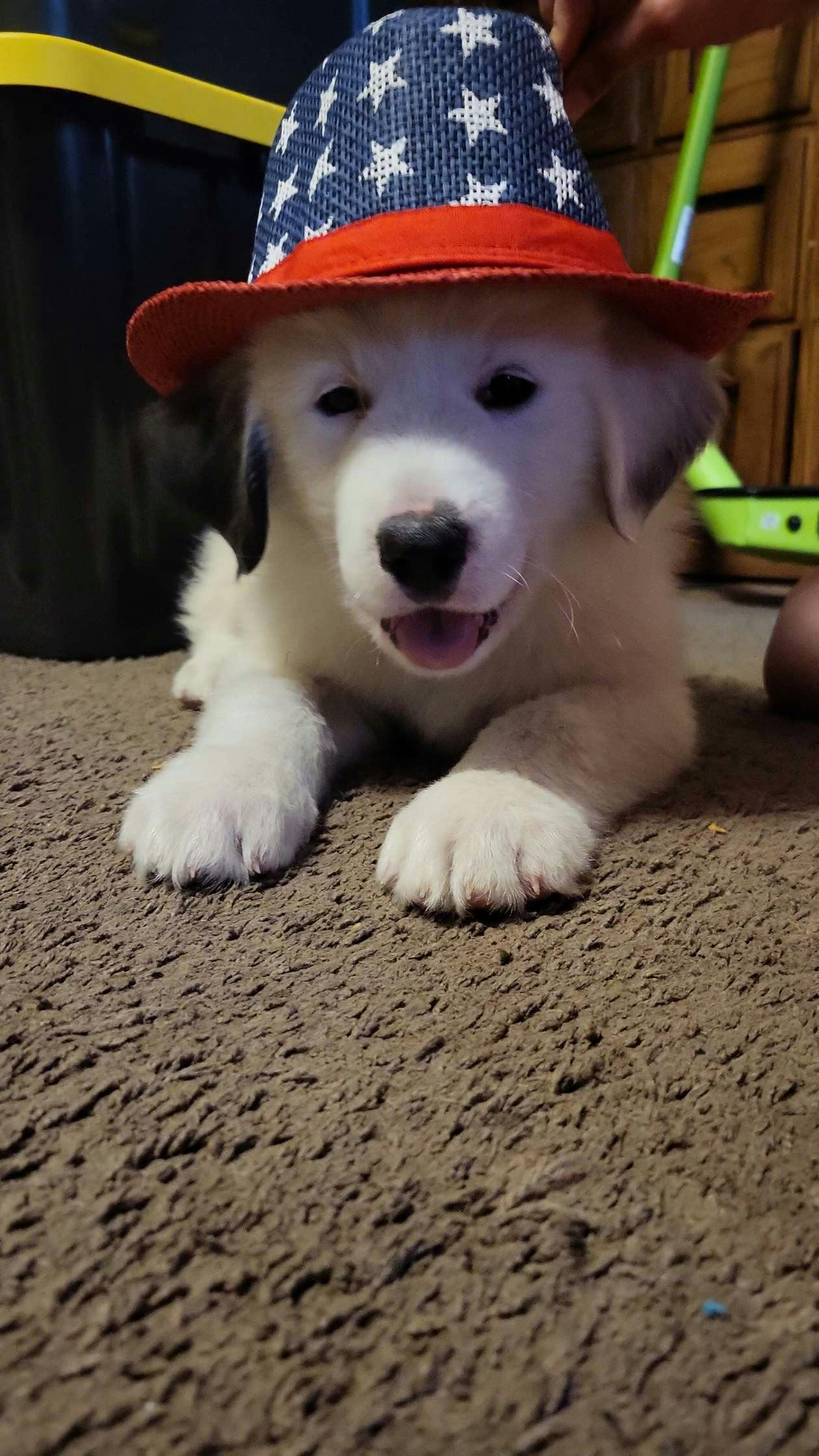 user avatar image for B wood