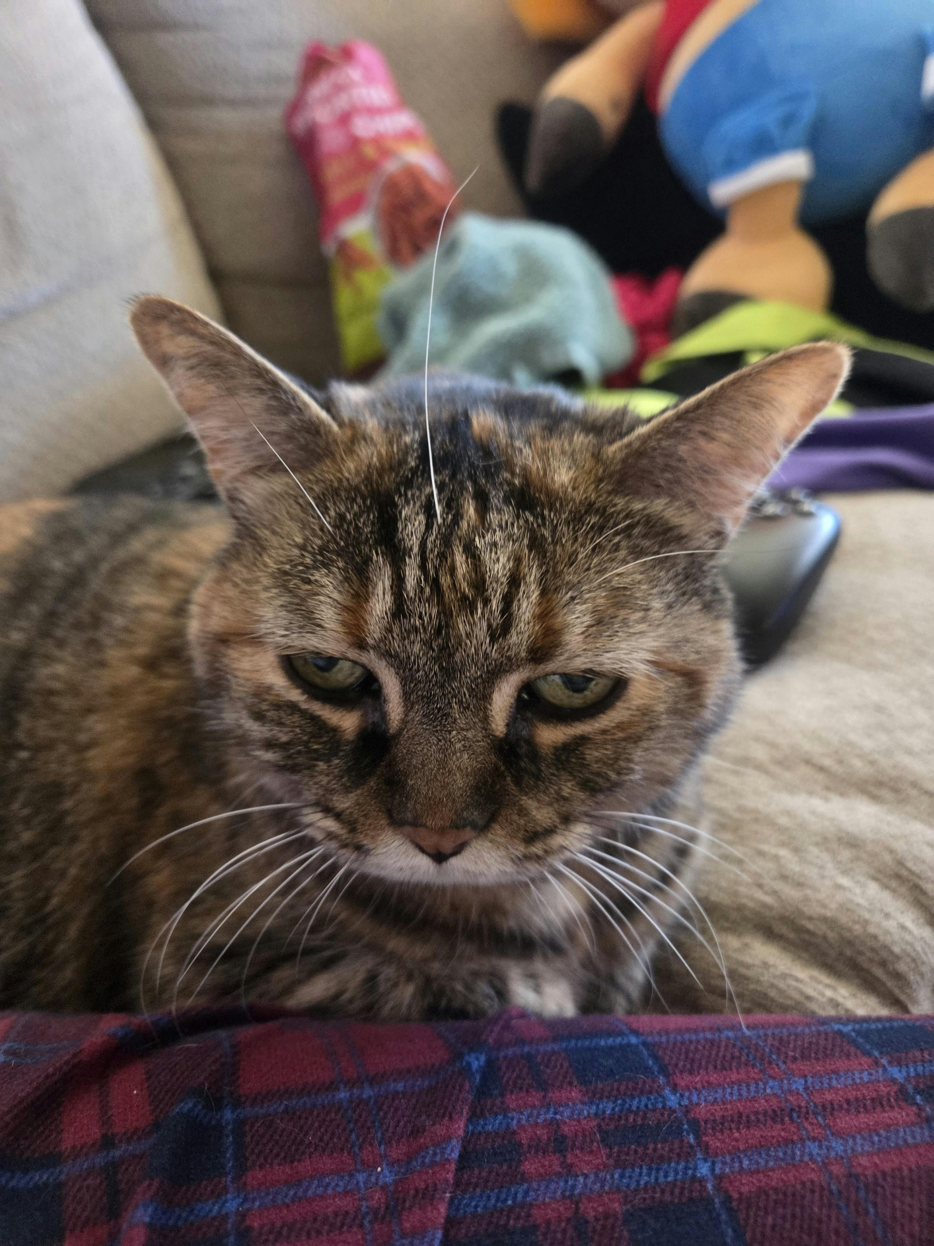 user avatar image for princess_bubblegum