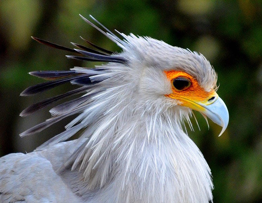 user avatar image for Simran