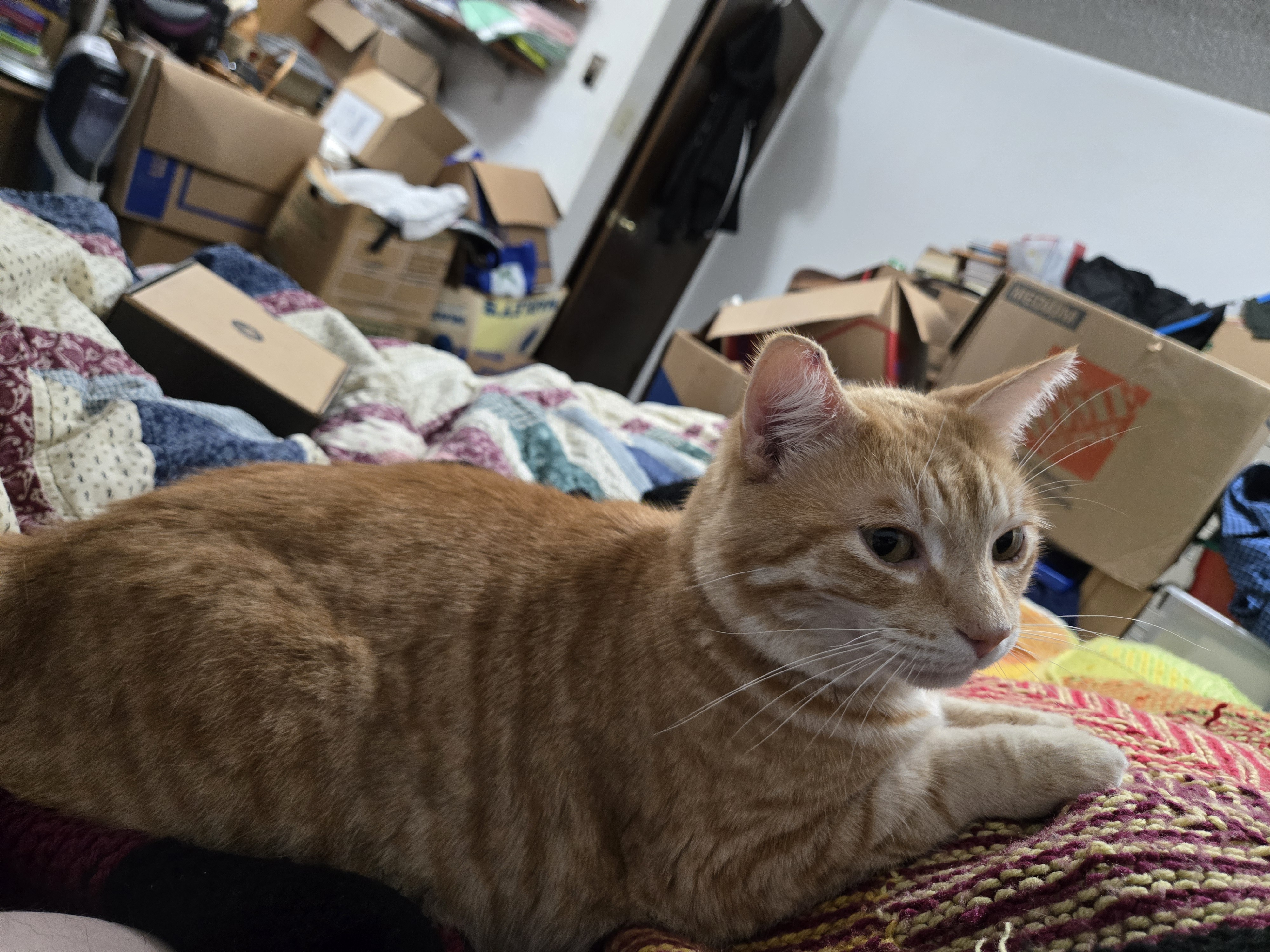 user avatar image for Ian