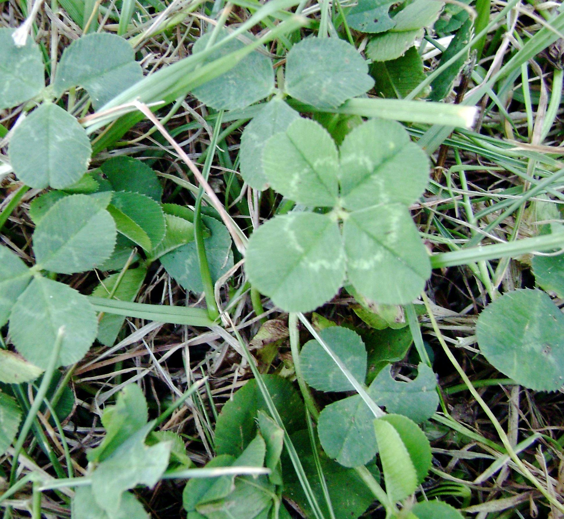 user avatar image for Stacy S