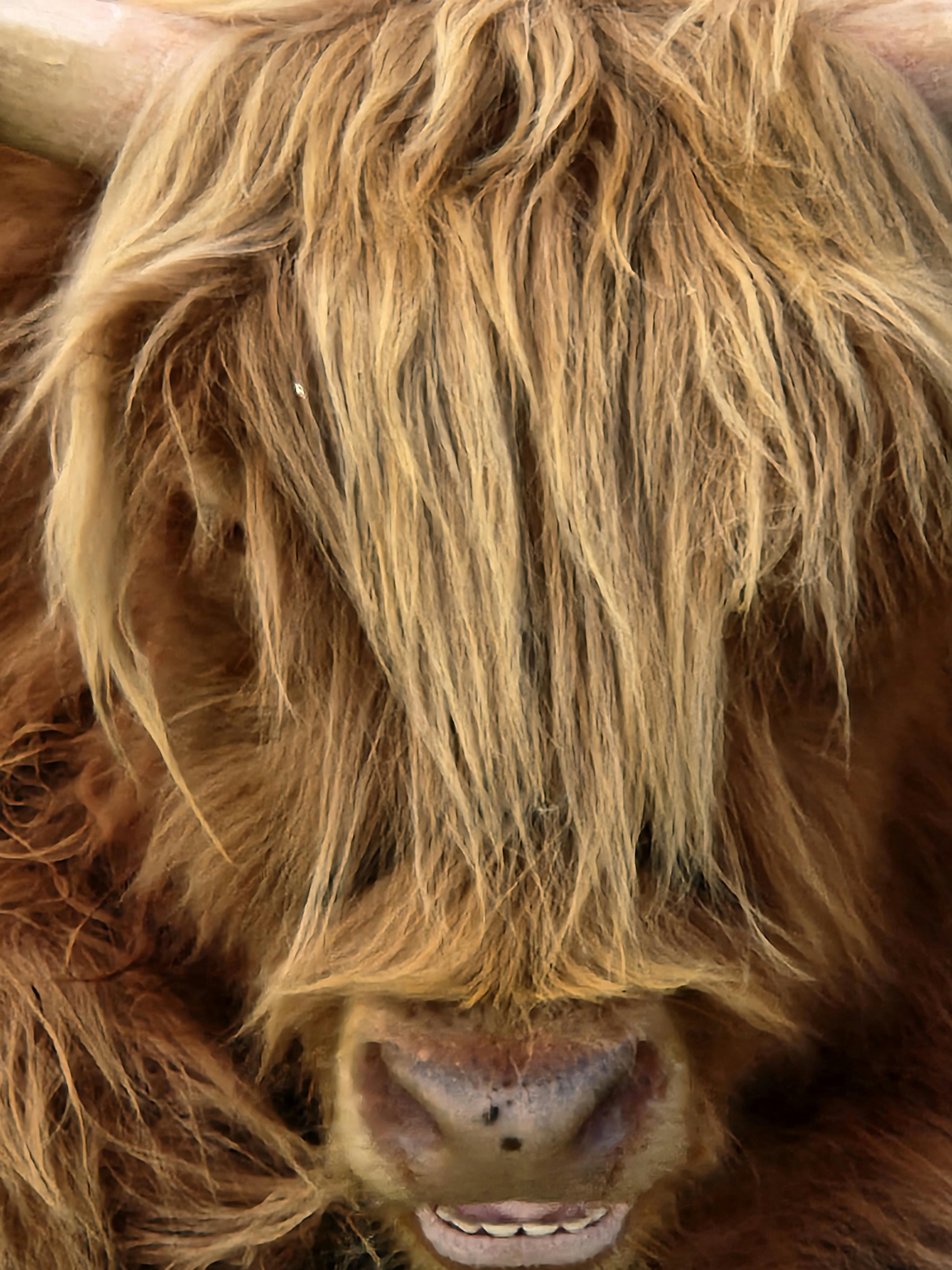 user avatar image for Wneilhart2676 