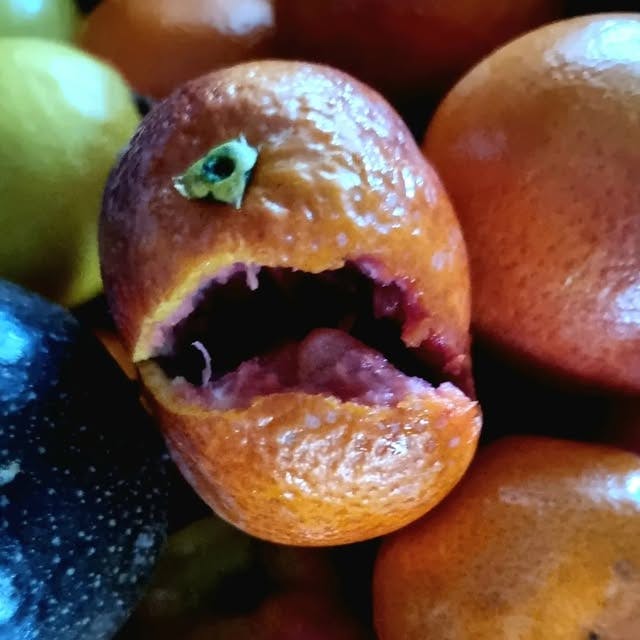 user avatar image for Fer