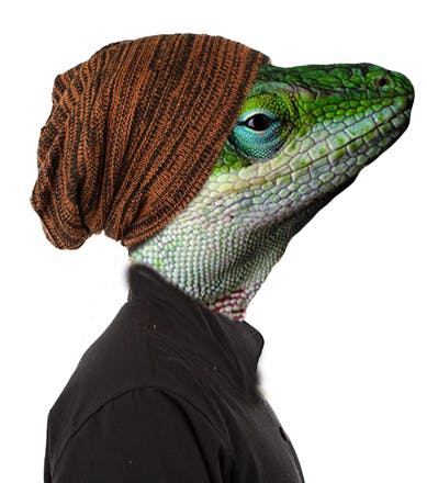 user avatar image for Baron Von Snakes