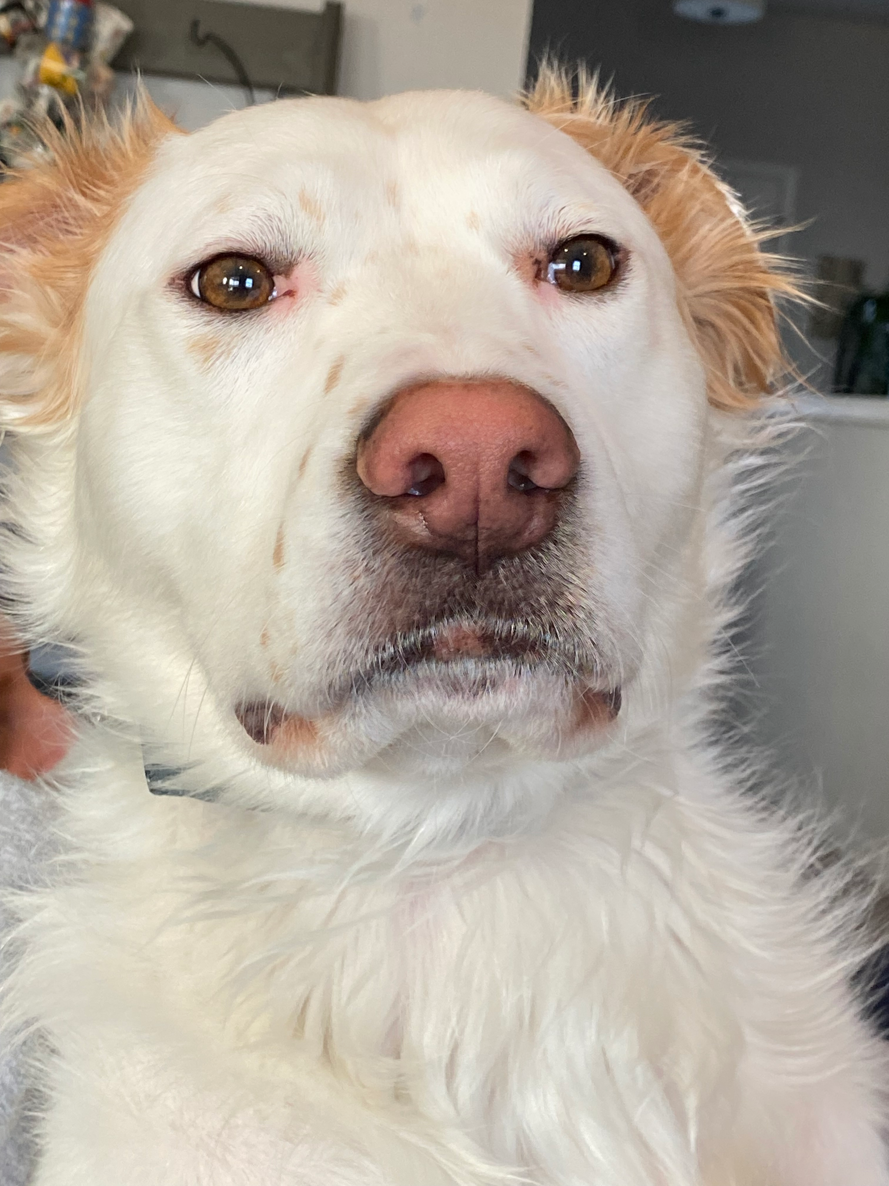 user avatar image for MaroonRobin