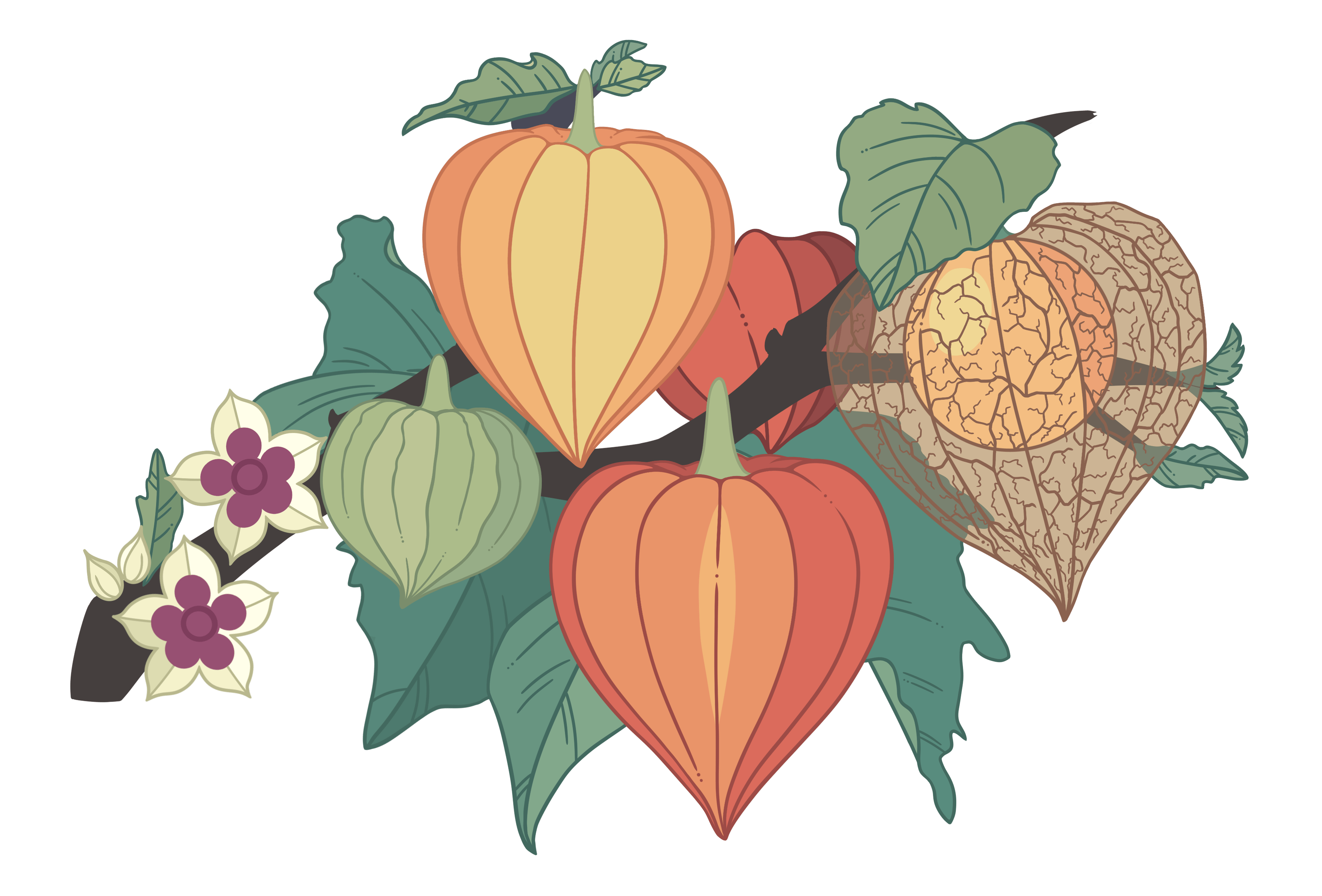 Branch Sticker Pack	