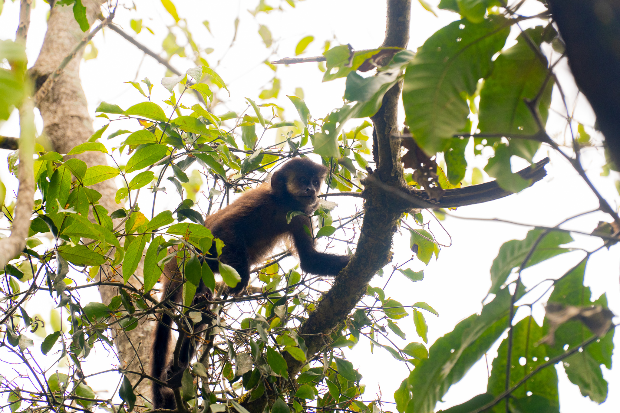 user avatar image for Walter